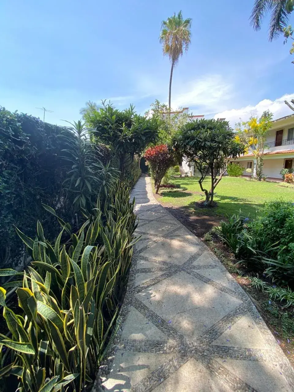 Garden in Hotel Posada Quinta Las Flores