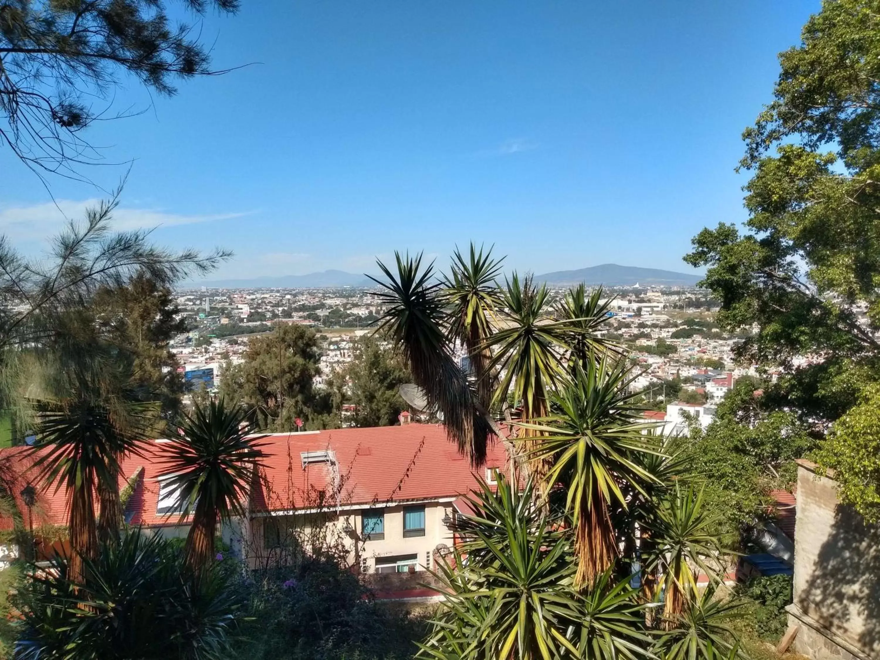 View (from property/room) in Radisson Hotel Tapatio Guadalajara