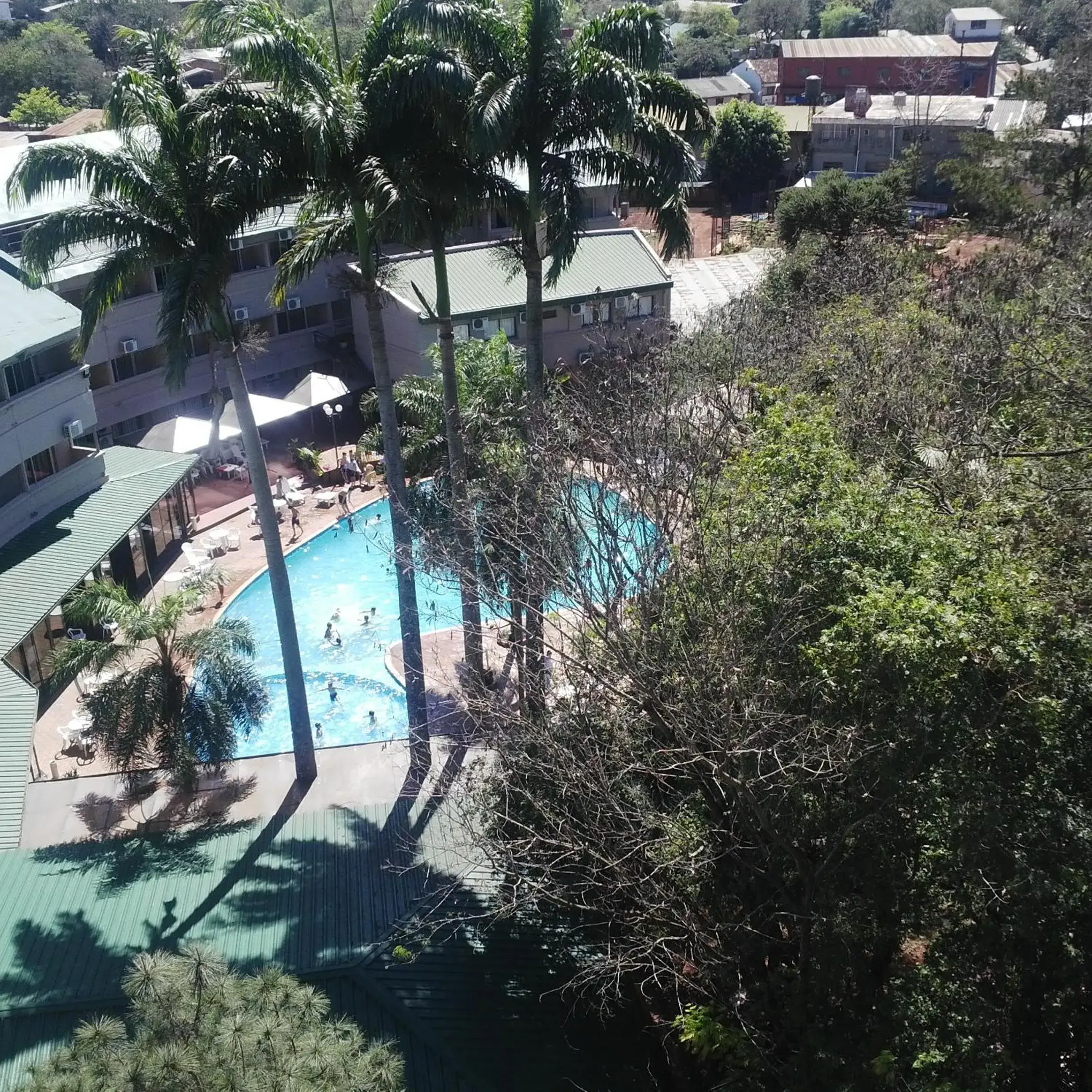 Garden, Pool View in Hotel El Libertador