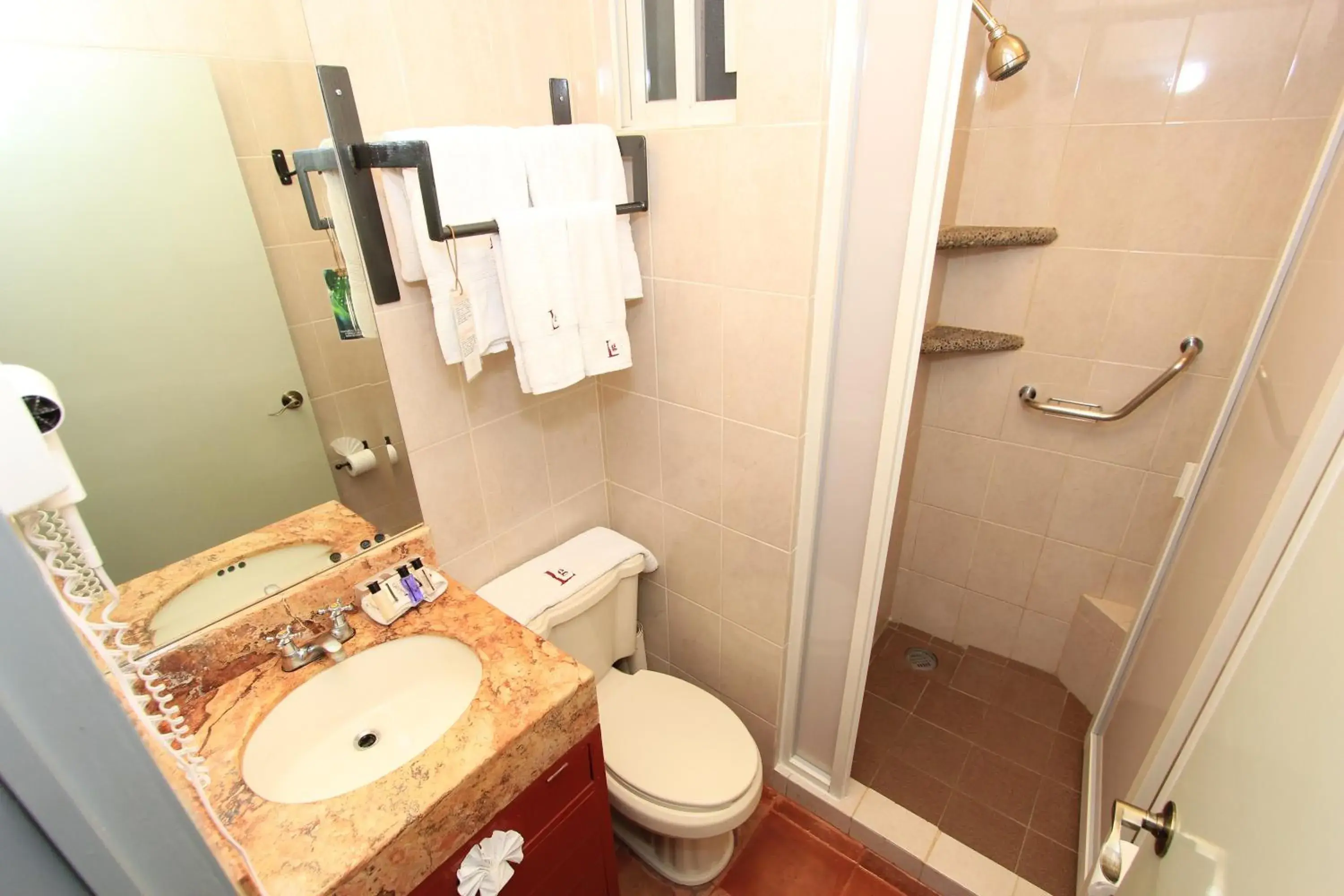 Shower, Bathroom in Hotel Real de Leyendas