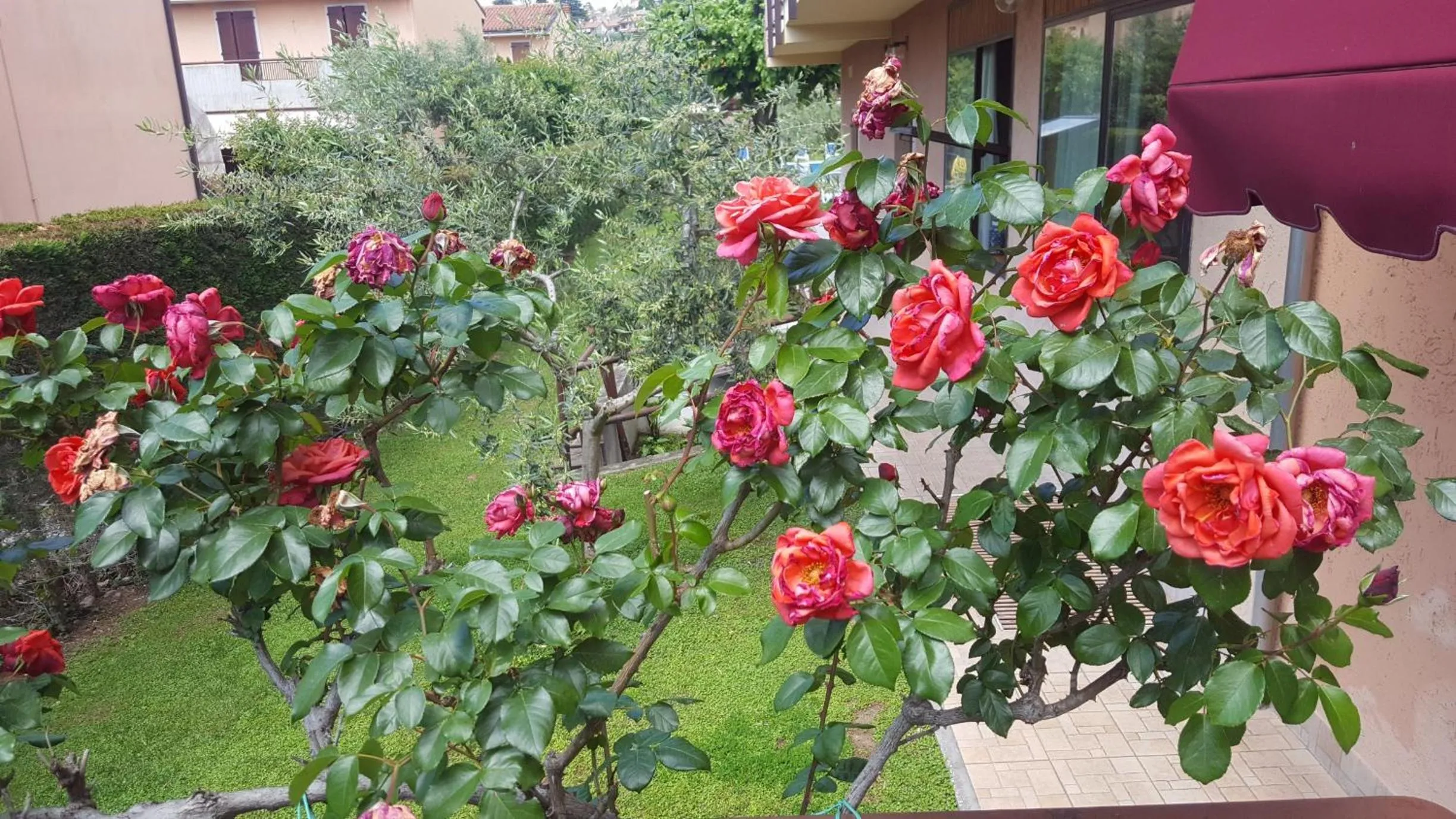 Garden in Hotel Andreis