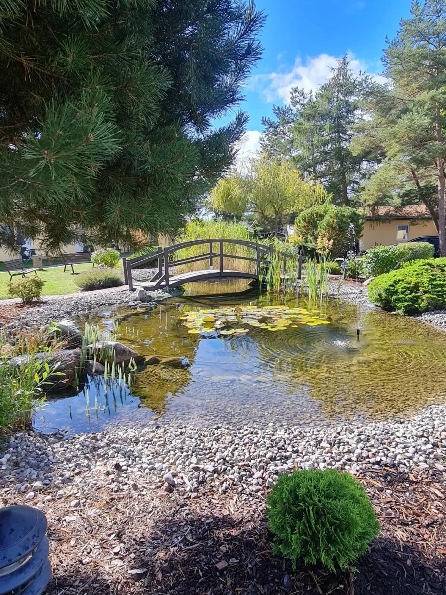 Garden in Hotel Pommerscher Hof