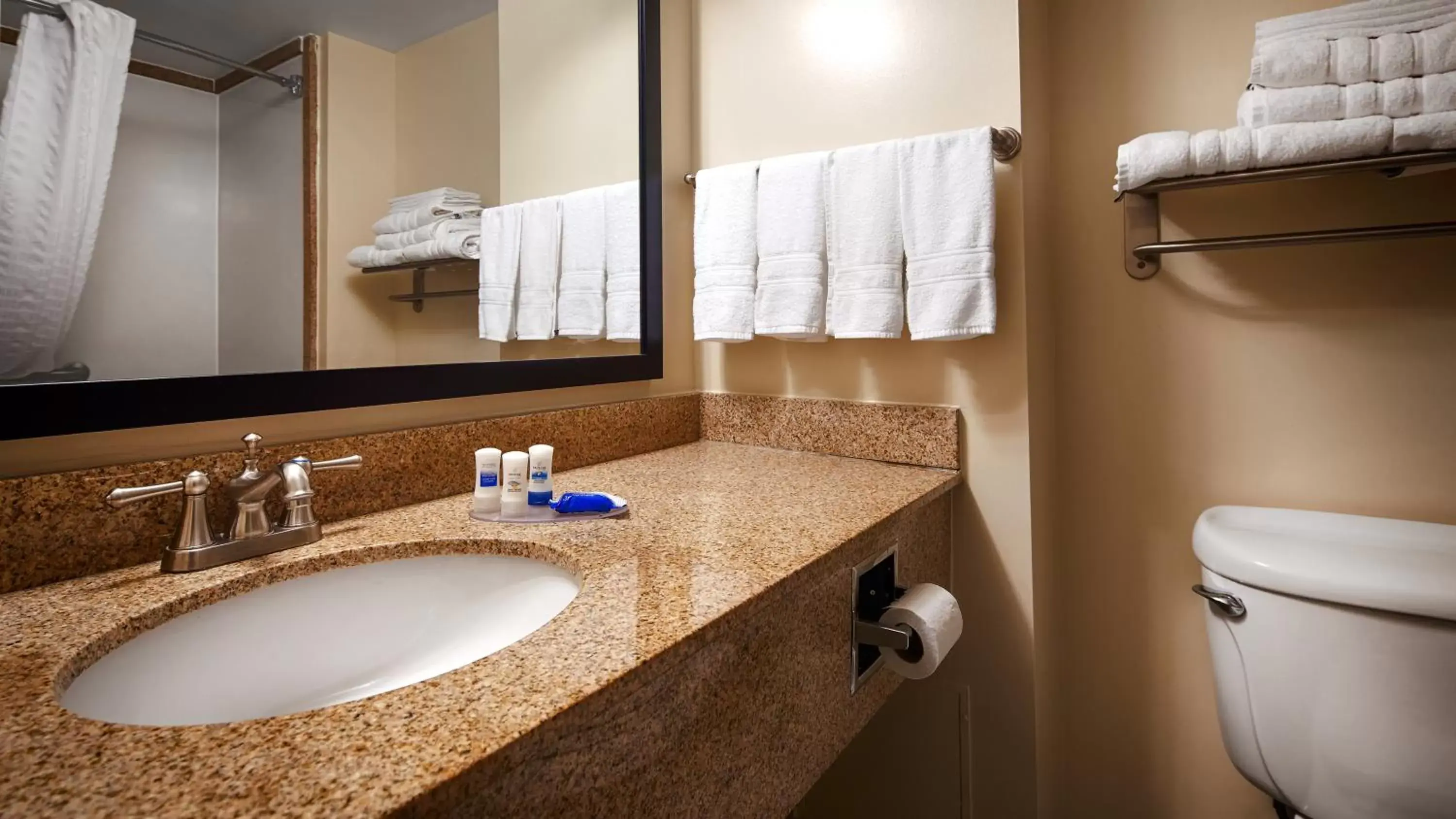 Bathroom in Best Western Oak Manor