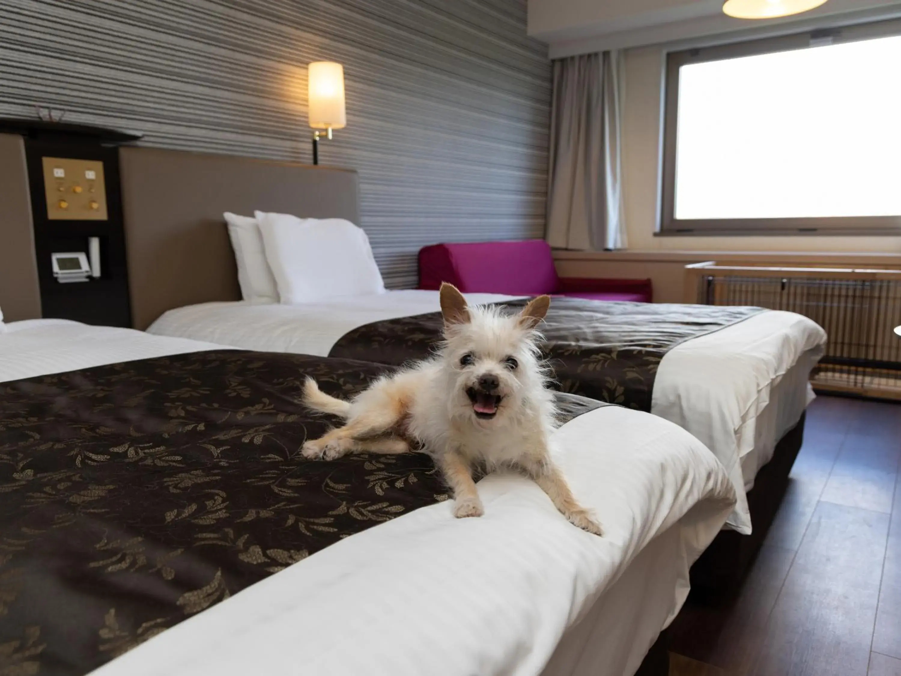 Animals, Pets in APA Hotel & Resort Joetsu Myoko