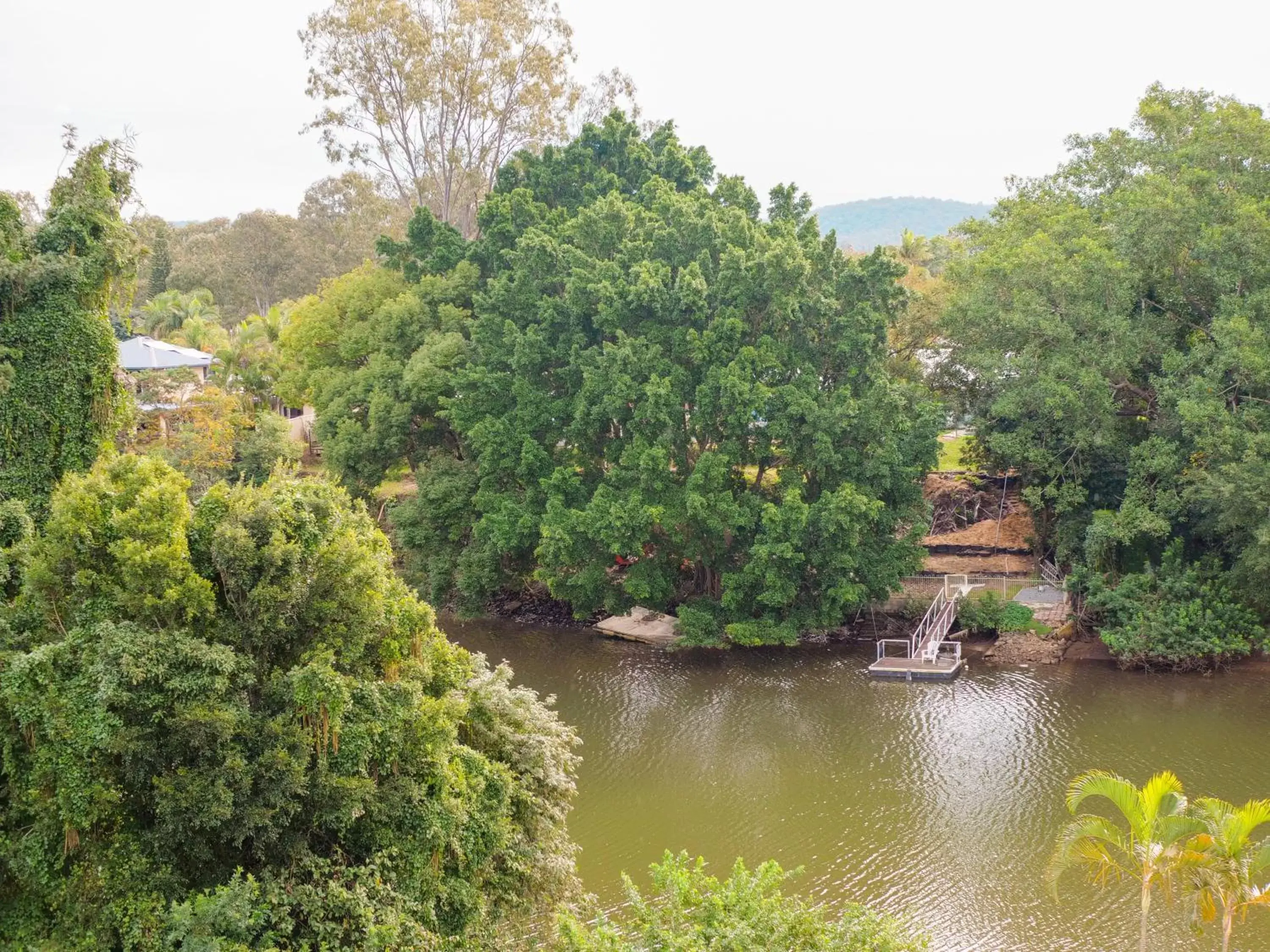 View (from property/room) in Nightcap at Hinterland Hotel Nerang