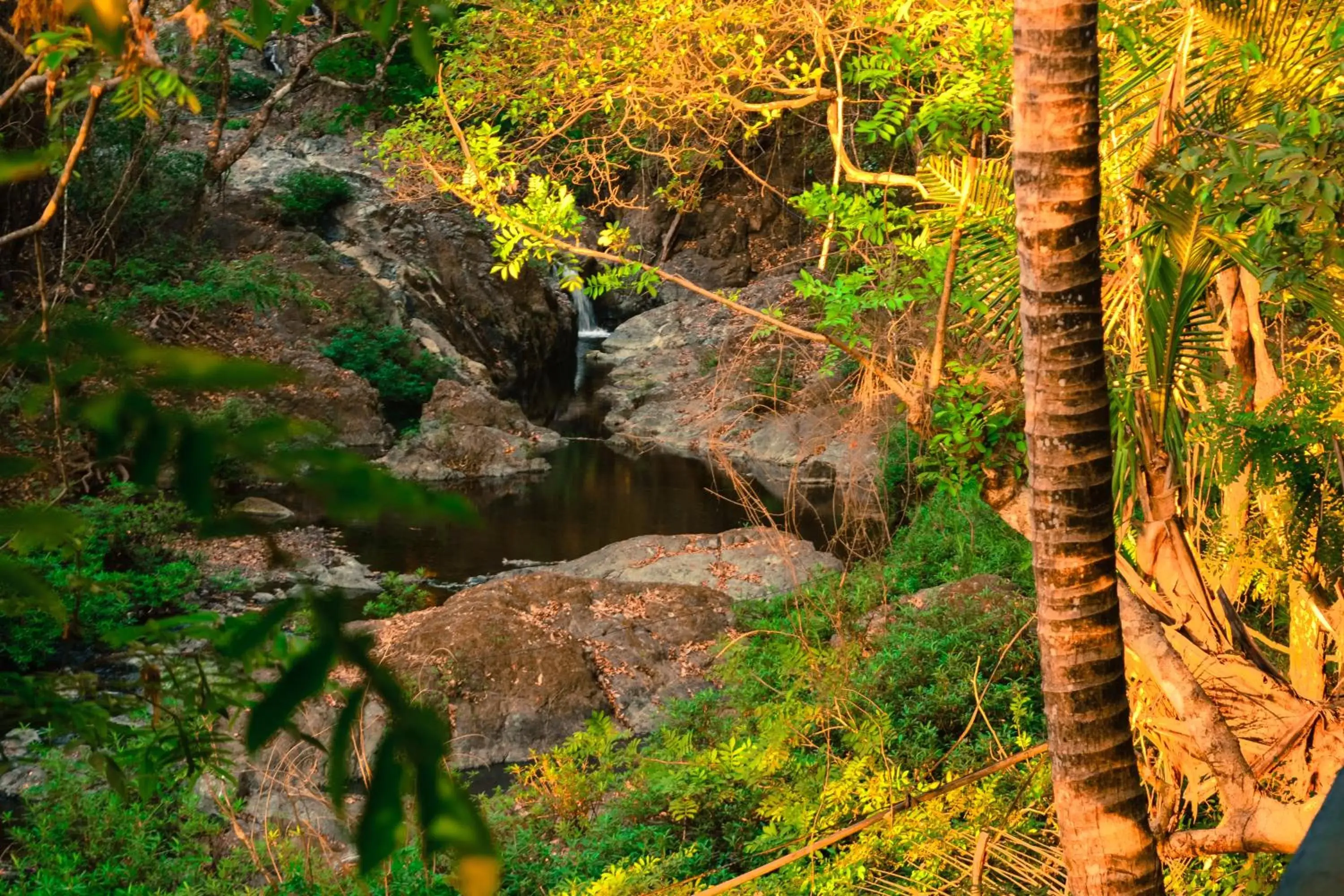 Natural Landscape in Hotel La Cascada