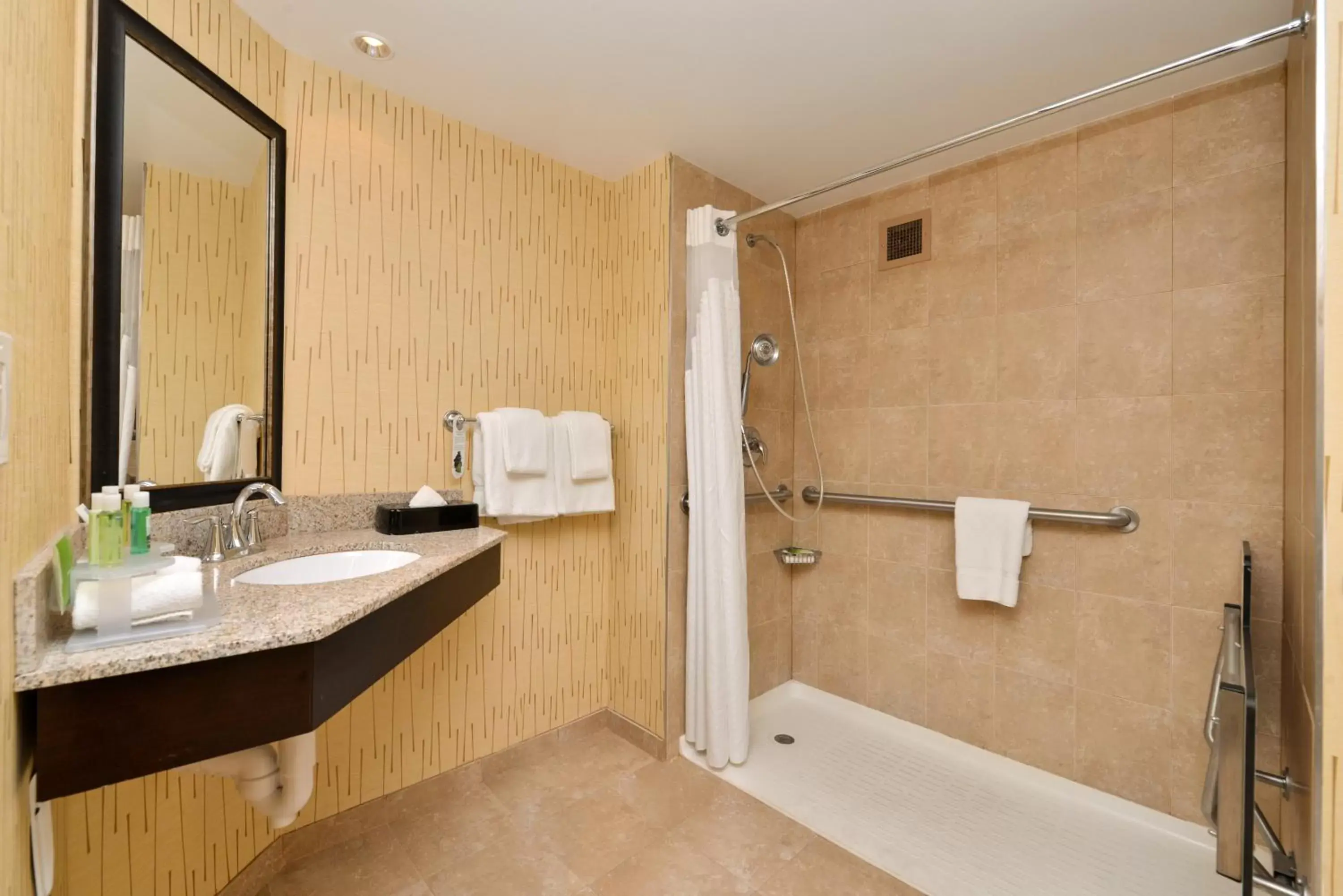 King Room with Bath Tub - Disability Access in Holiday Inn Express Hunt Valley, an IHG Hotel King Room with Bath Tub - Disability Access in Holiday Inn Express Hunt Valley, an IHG Hotel
