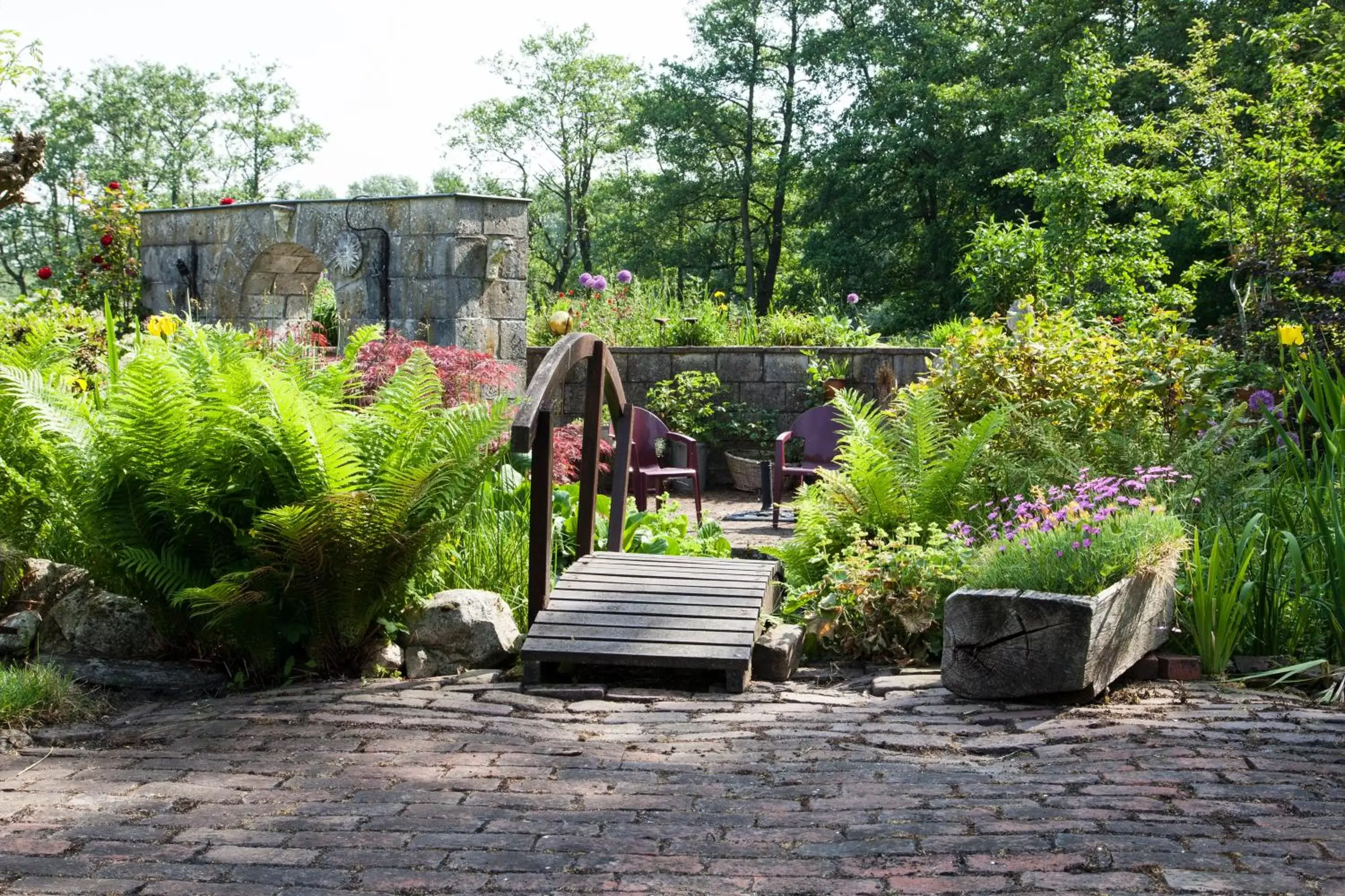 Garden, Patio/Outdoor Area in De Wiede Blik