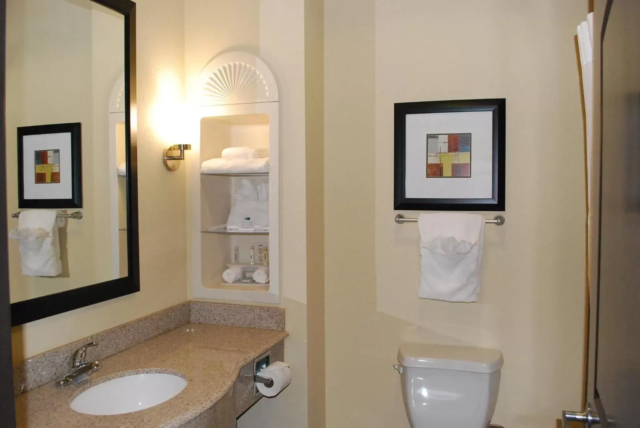 Bathroom in Holiday Inn Express & Suites Houston South - Near Pearland, an IHG Hotel
