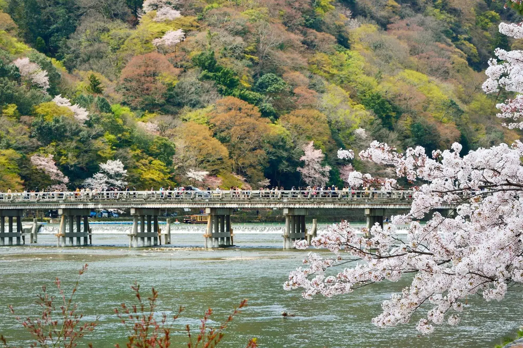 Nearby landmark in Sotetsu Fresa Inn Kyoto-Shijokarasuma