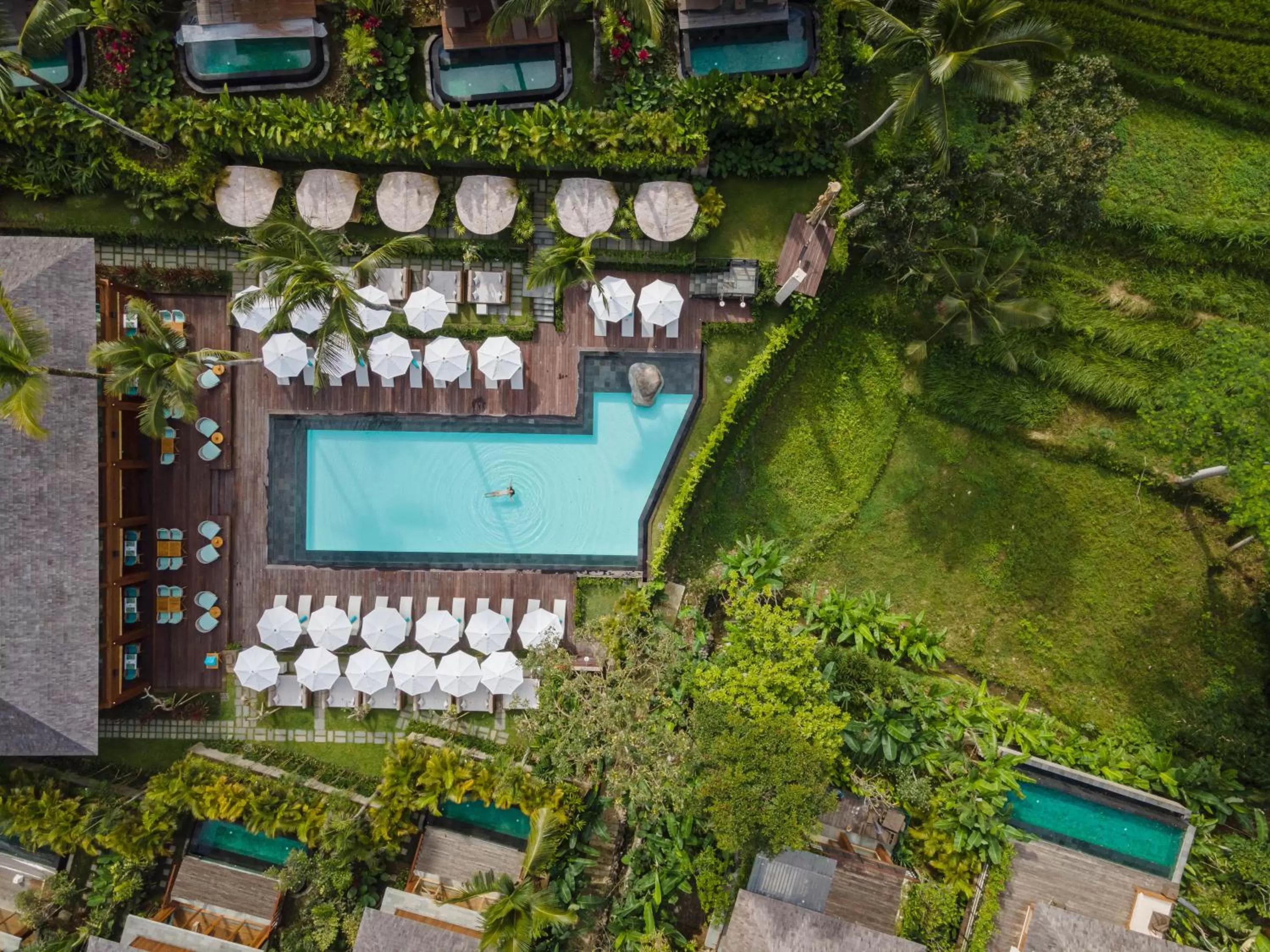 Swimming pool in Kappa Senses Ubud