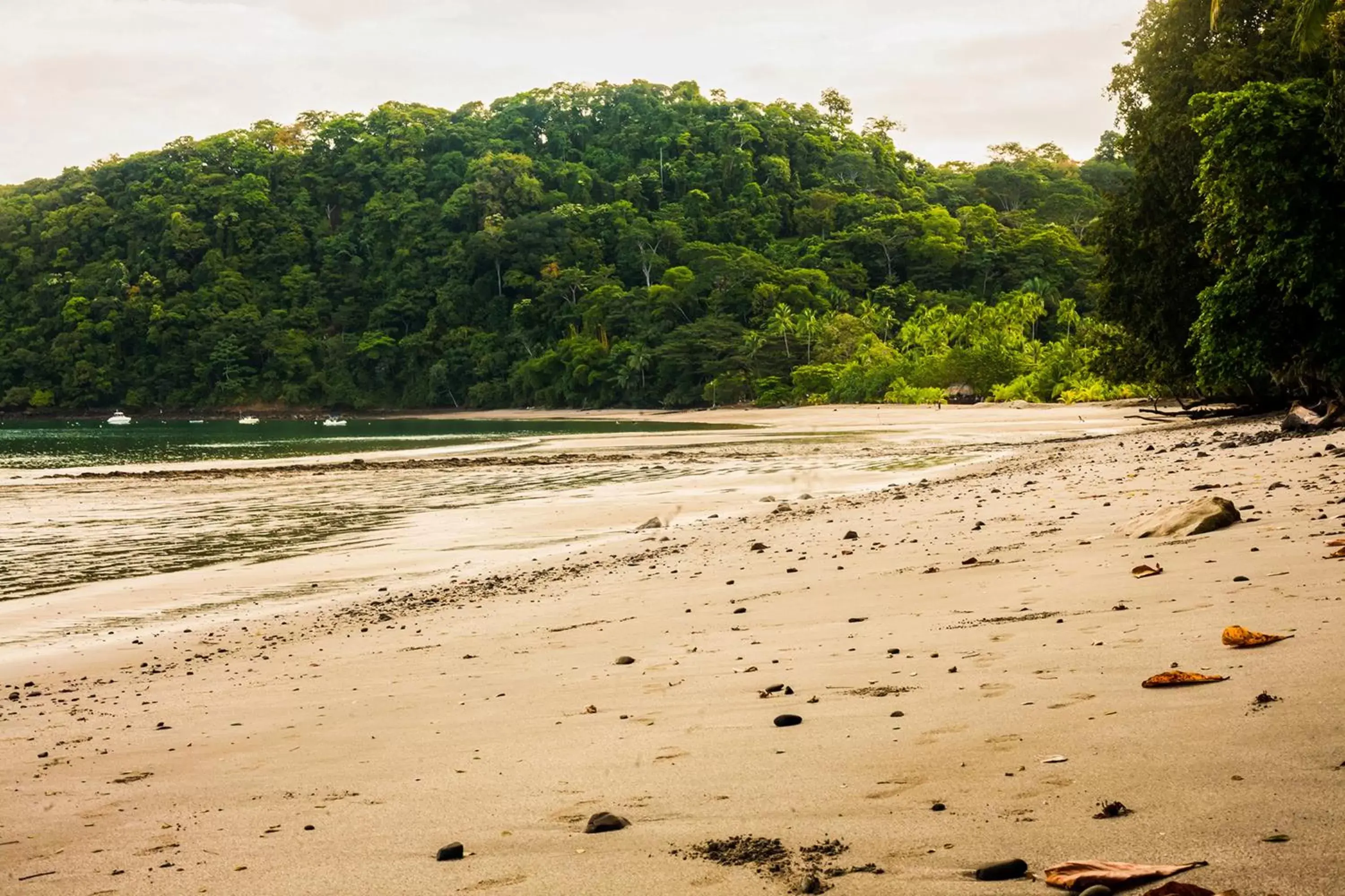 Beach in Hotel Arenas en Punta Leona