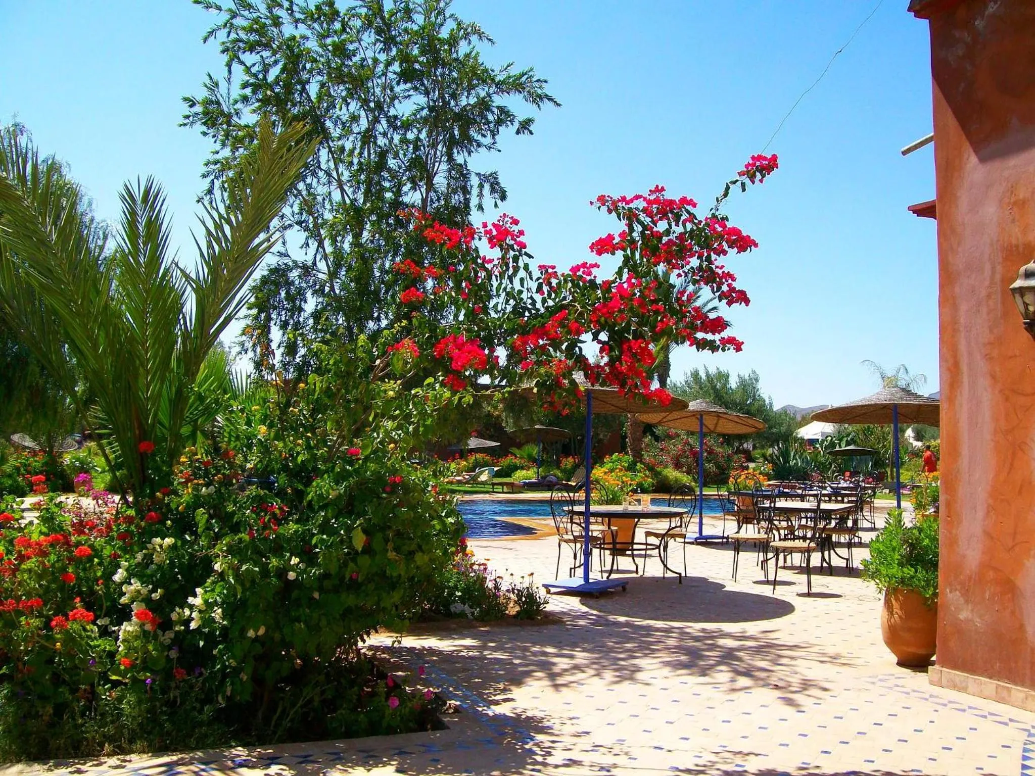 Garden in Le Relais De Marrakech