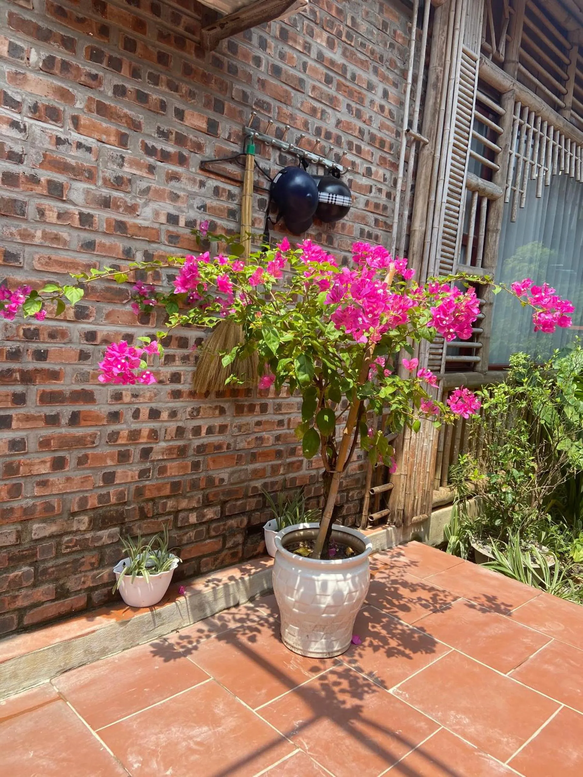 Tam Coc Mountain View Homestay