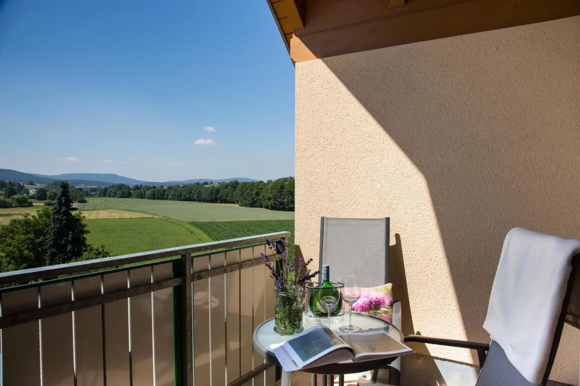 Balcony/Terrace in Landhotel-Gasthof Grüner Baum