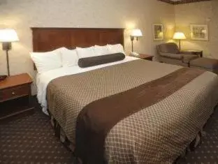 Bed in Best Western Plus Shamrock Inn & Suites