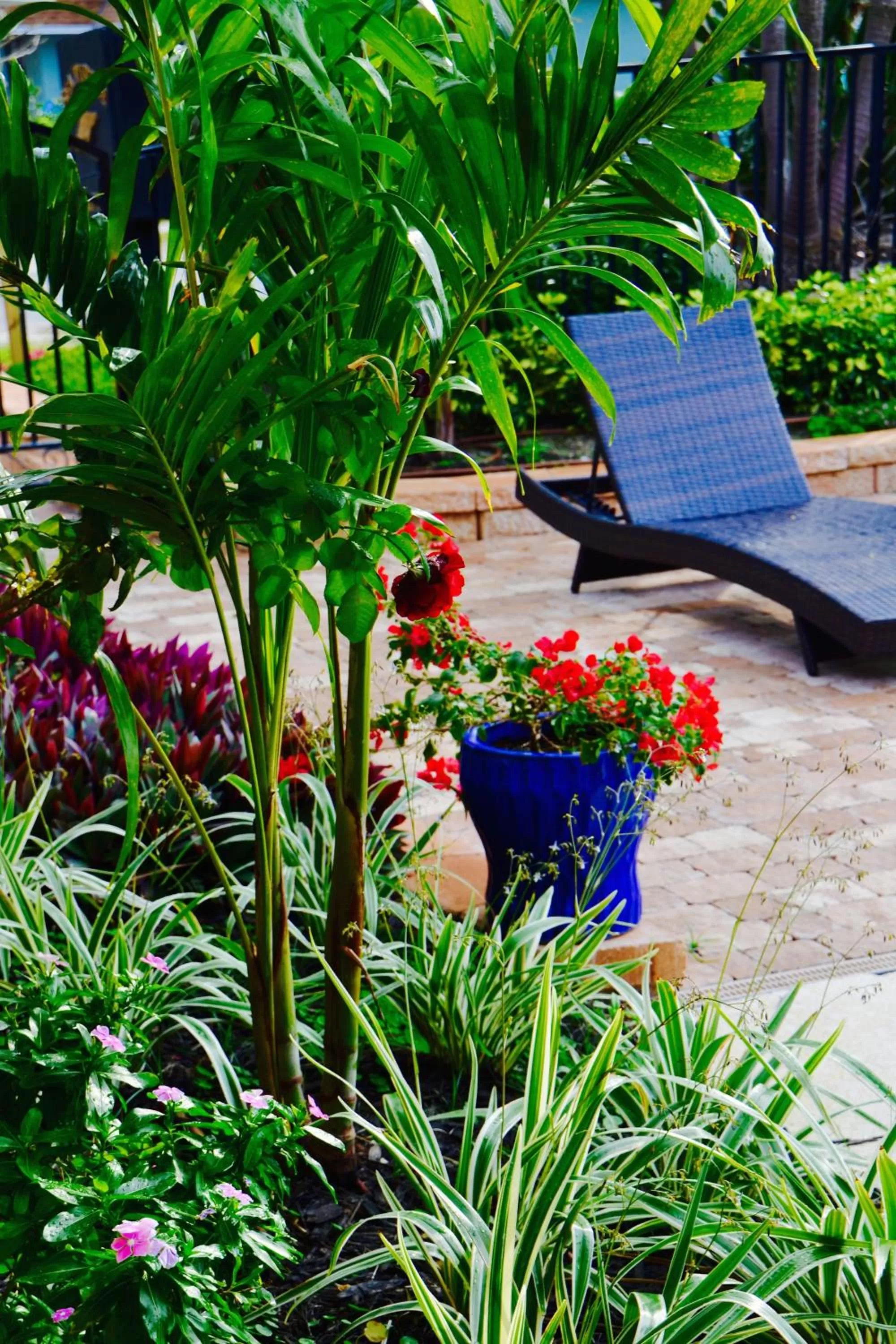 Patio, Garden in Sea Turtle Inn