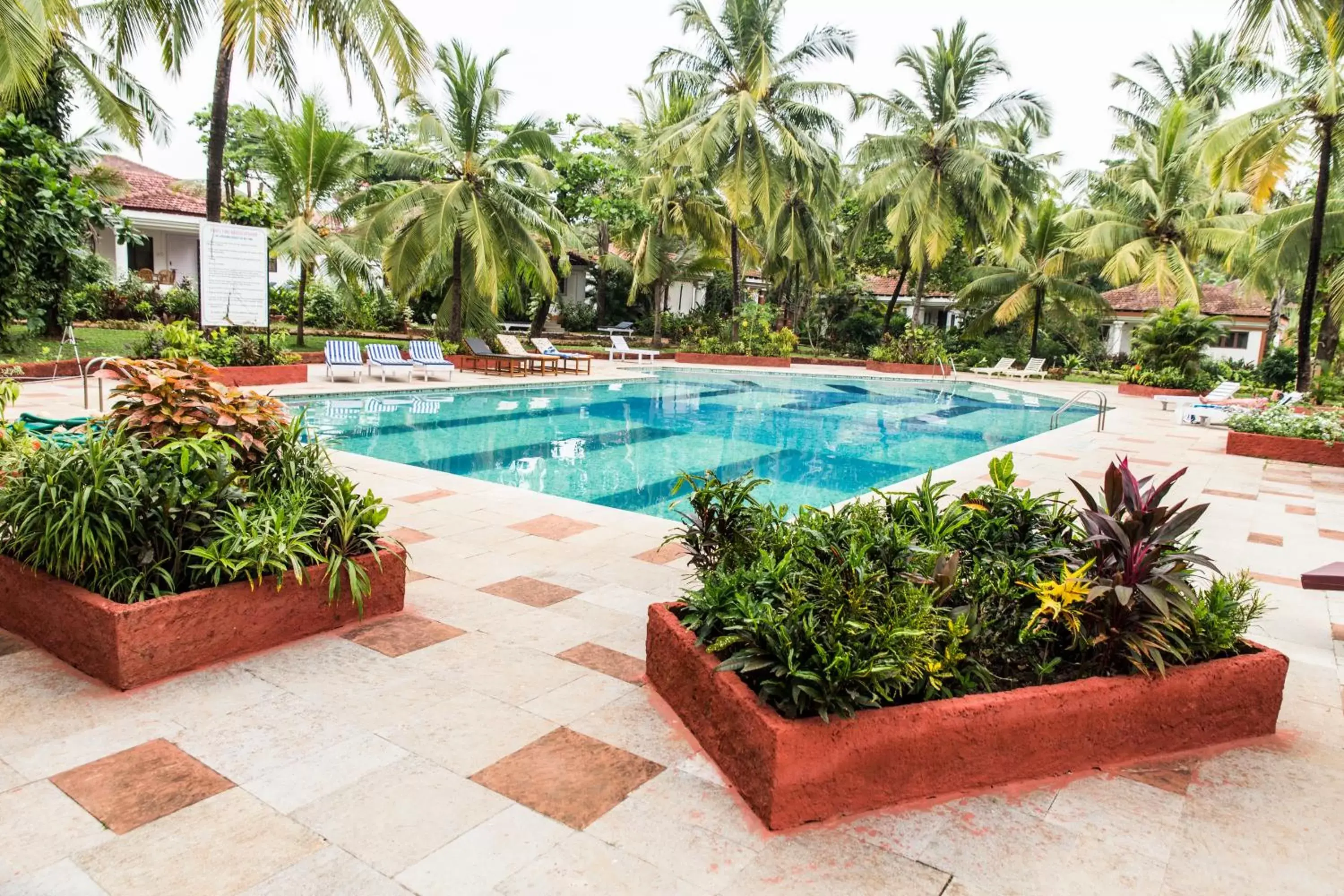 Swimming pool in Shikara Beach Resort Swimming pool in Shikara Beach Resort