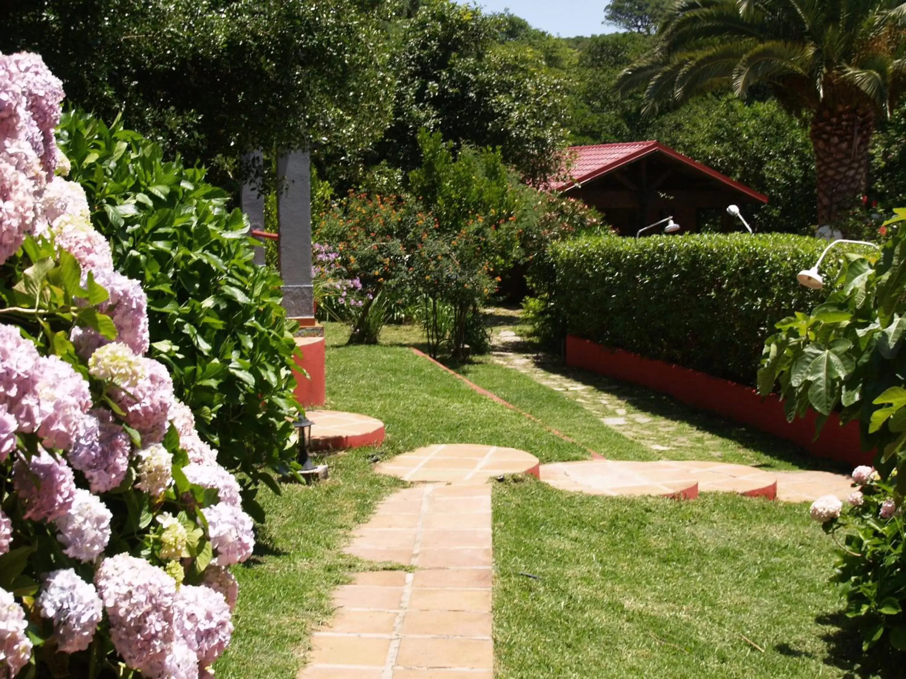 Area and facilities, Garden in Mesón de Sancho