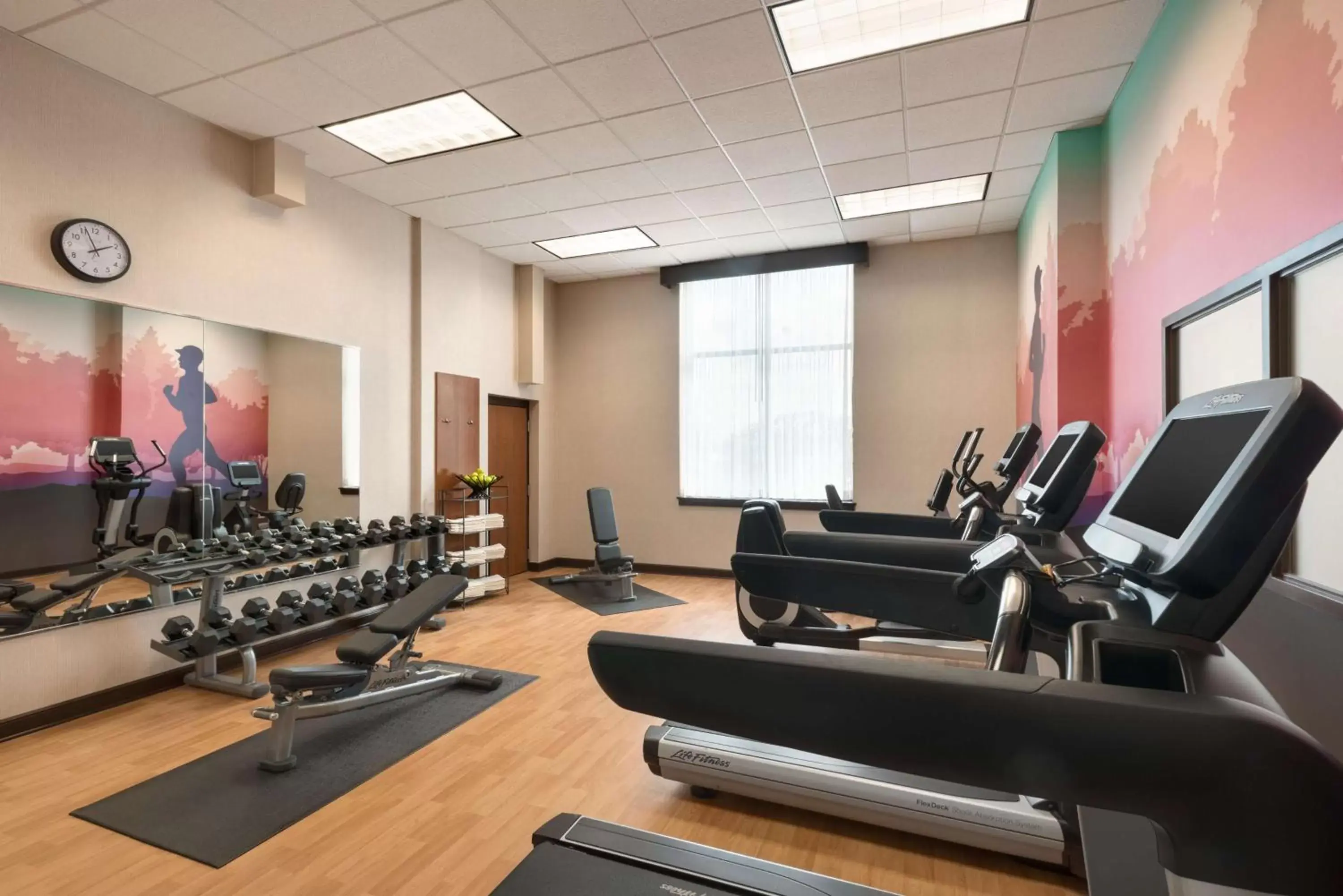Fitness centre/facilities, Fitness Center/Facilities in Hyatt Place Chicago Schaumburg