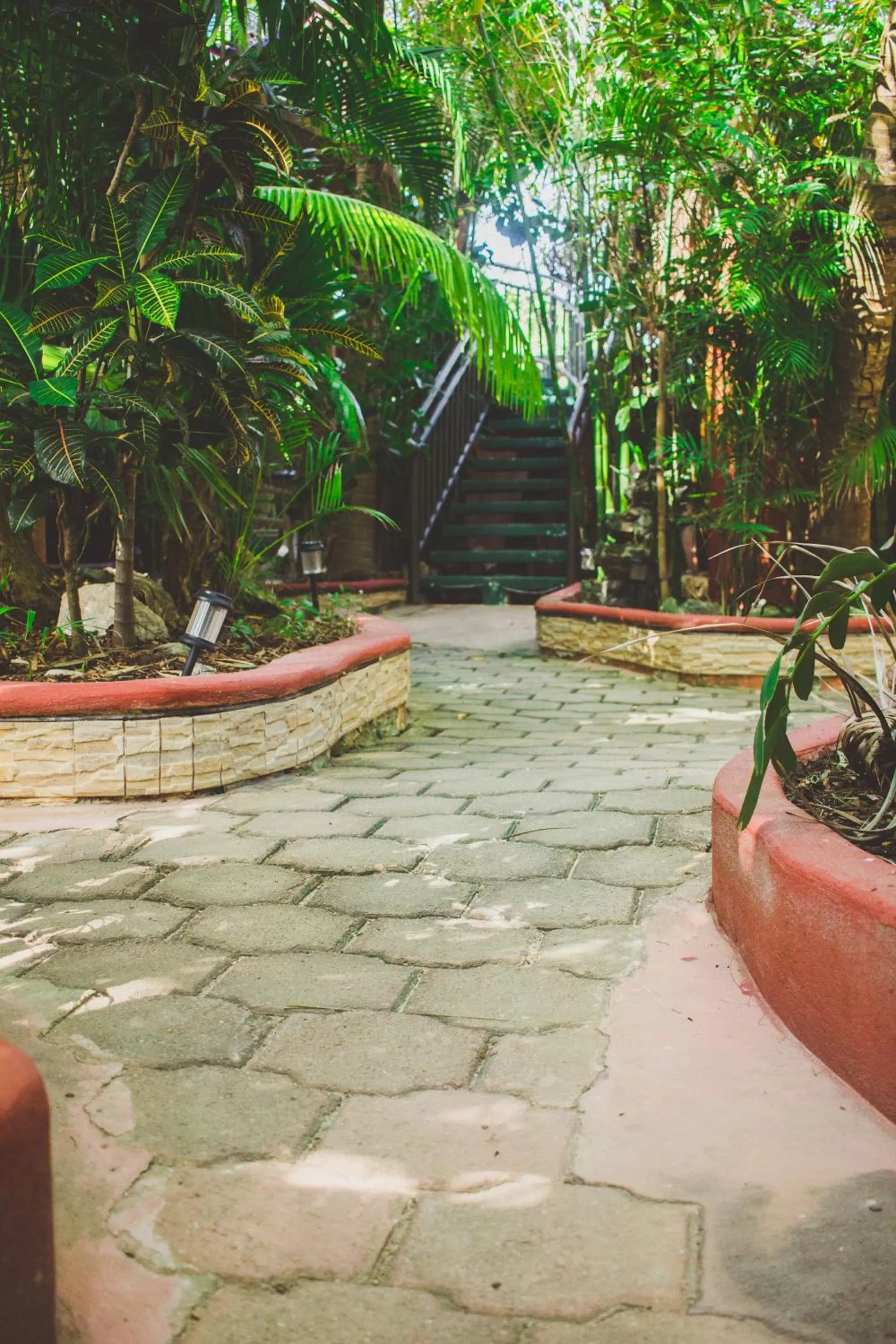 Garden in Cocos Cabañas Playa del Carmen Adults Only