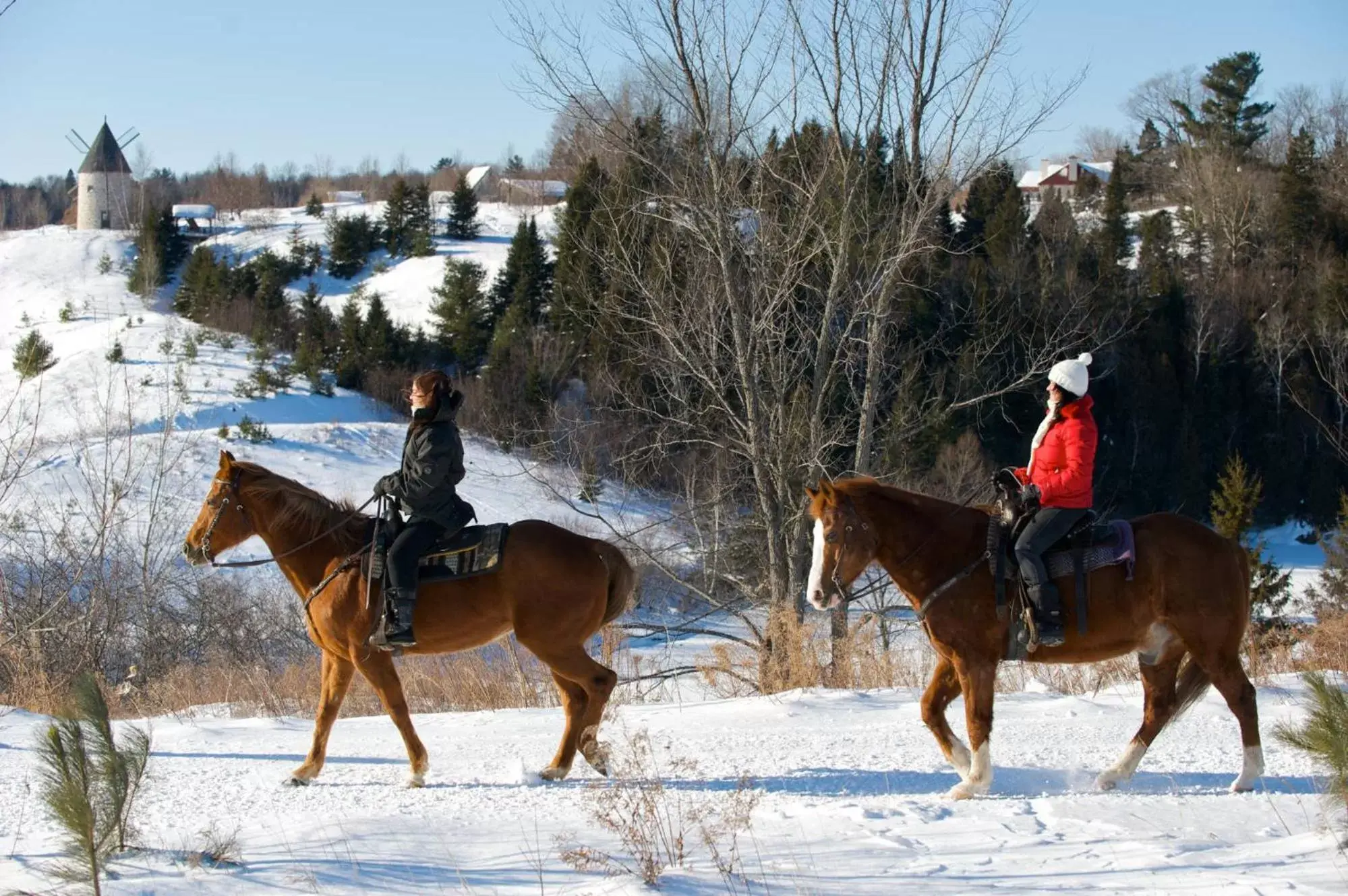 Horse-riding, Horseback Riding in Le Baluchon Éco-villégiature