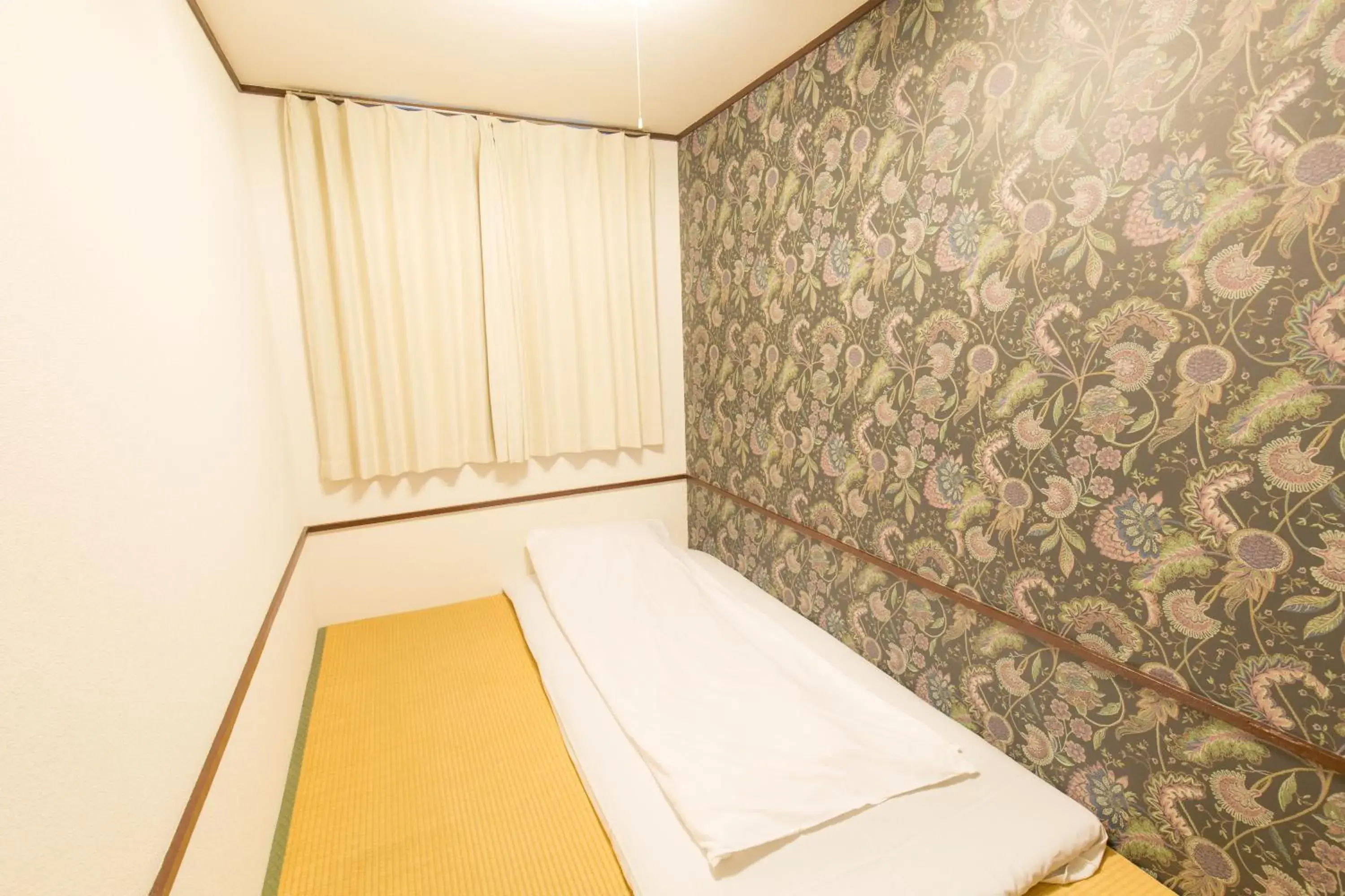 Japanese-Style Single Room with Shared Bathroom - No Air Conditioning in Backpackers Hotel Toyo