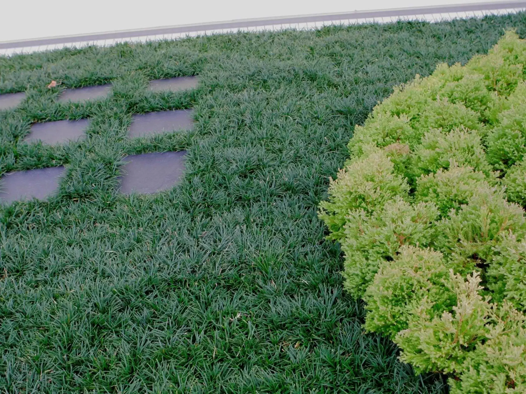 Facade/entrance in Meitetsu Inn Chita Handa Ekimae Facade/entrance in Meitetsu Inn Chita Handa Ekimae