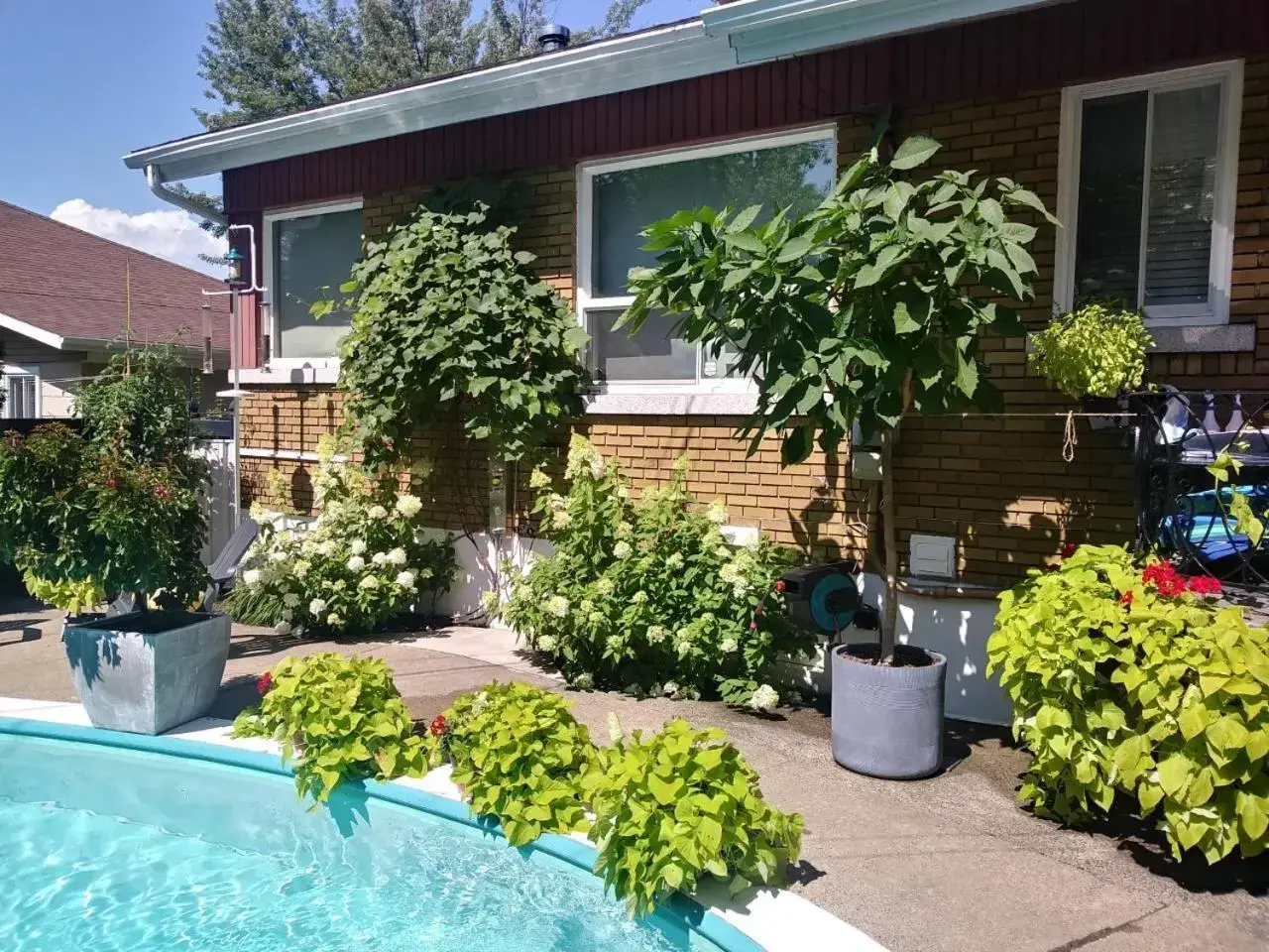 Swimming Pool in Gîte Chez Baza