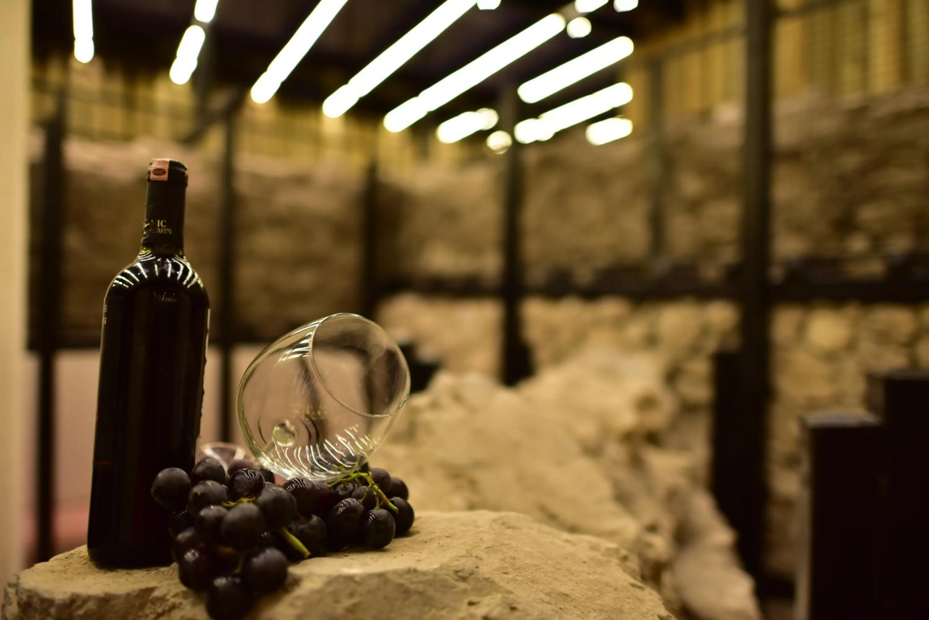 Food close-up in Giritligil Hotel