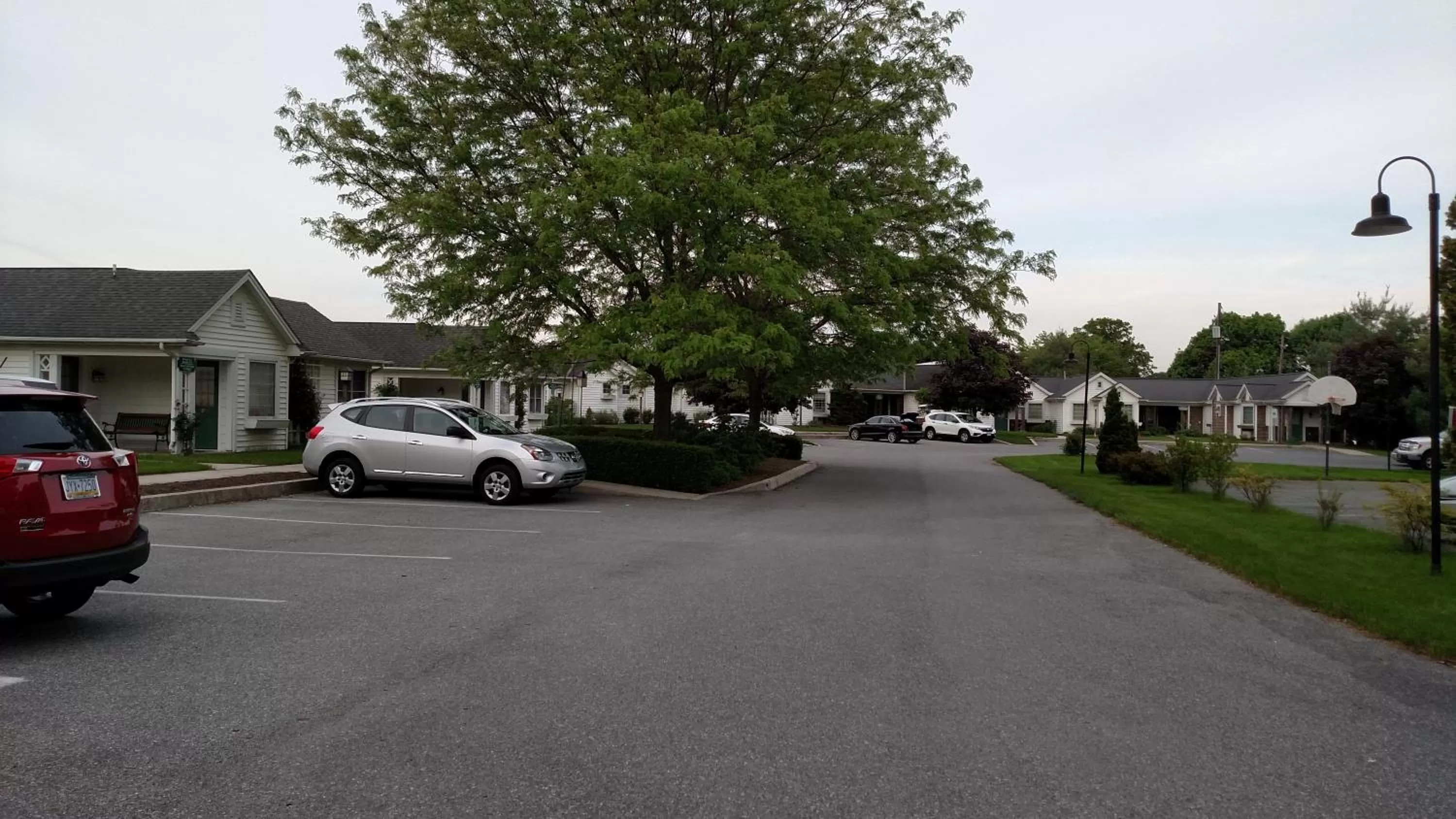 View (from property/room) in Spruce Lane Lodge and Cottages