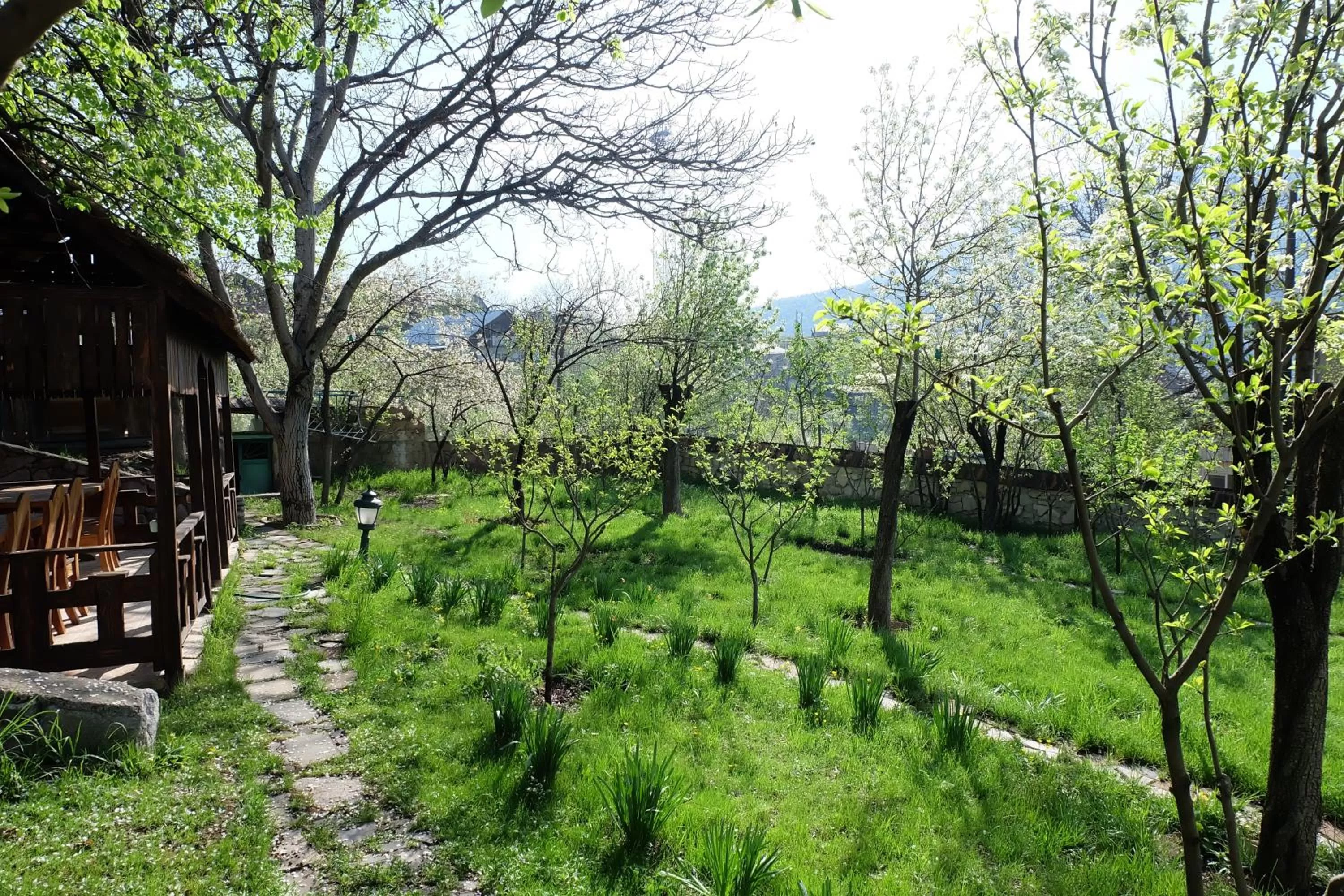 Garden in Dil Hill by Sam