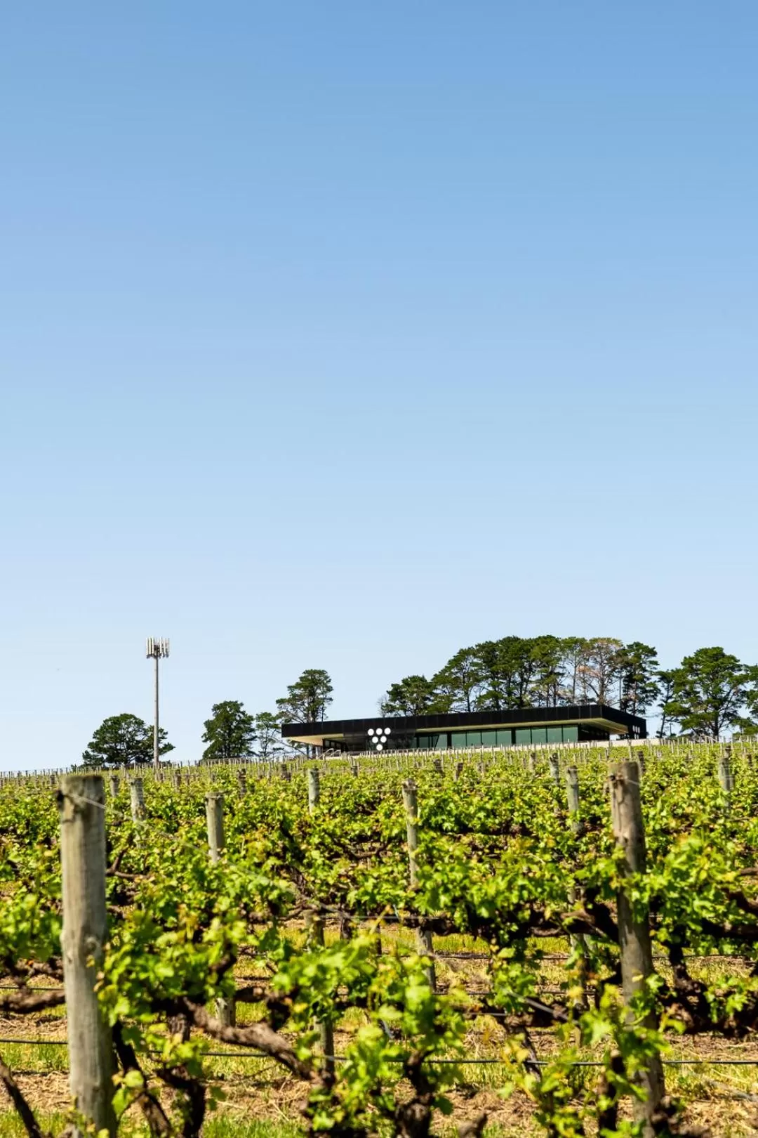 Property building in Beresford Estate