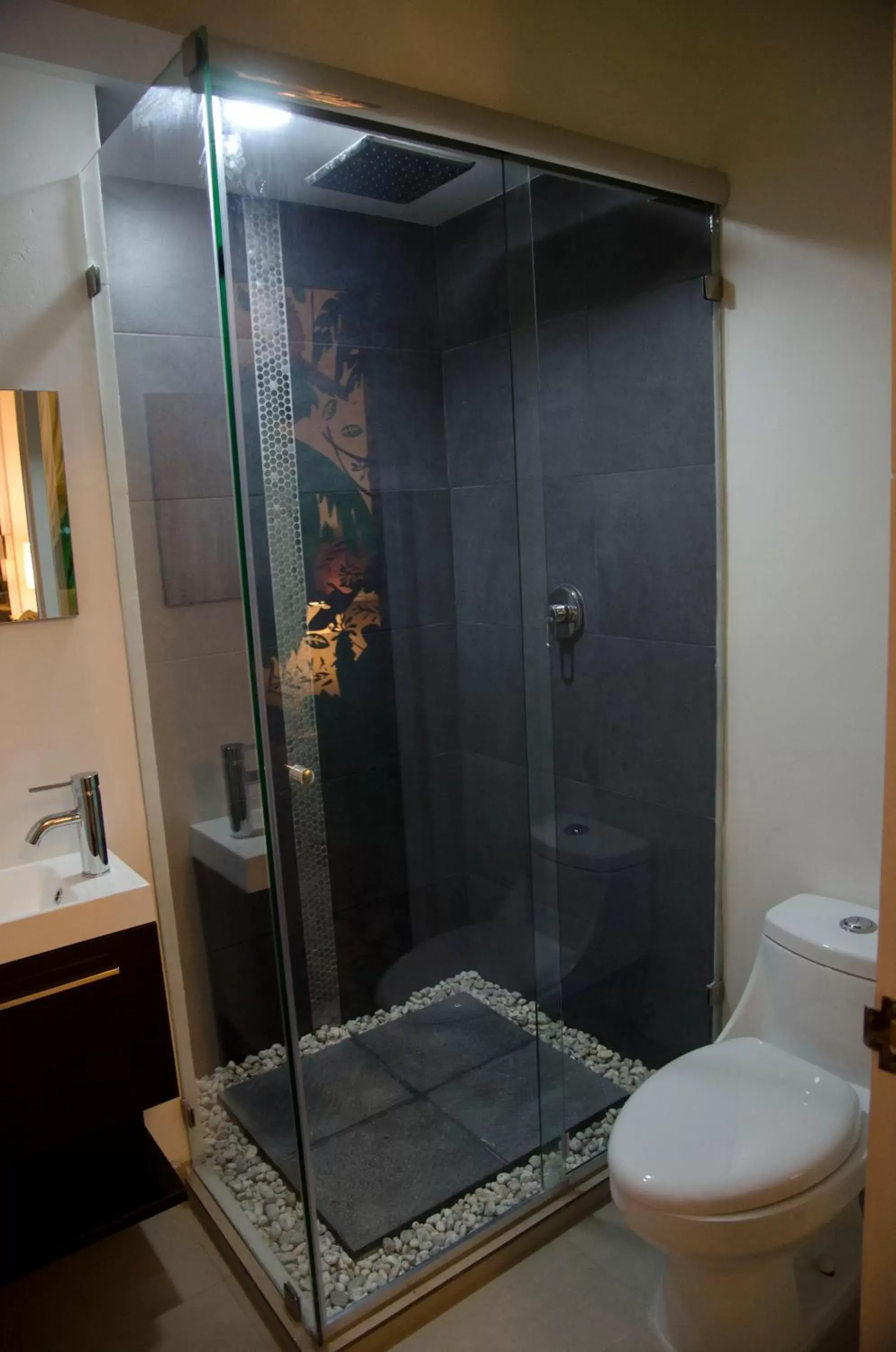 Shower, Bathroom in Casa Anzures