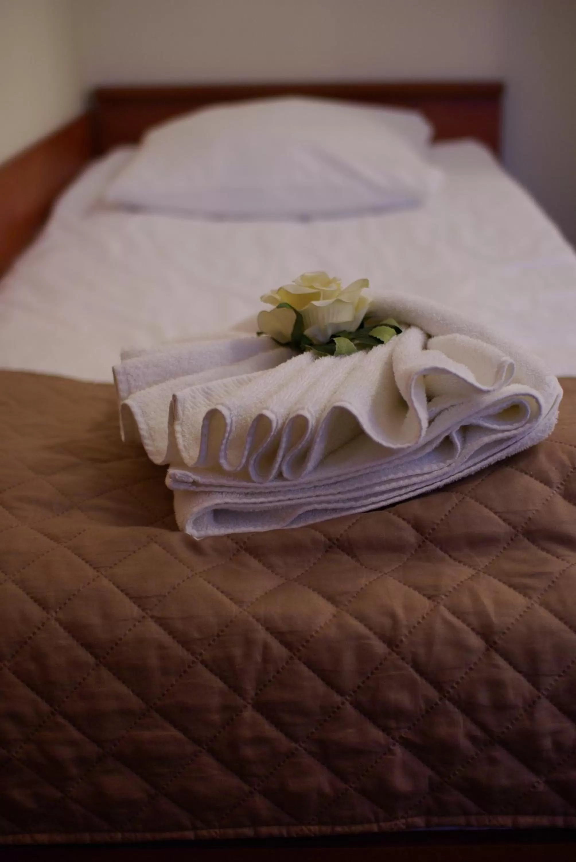 Bed in Hotel Vistula