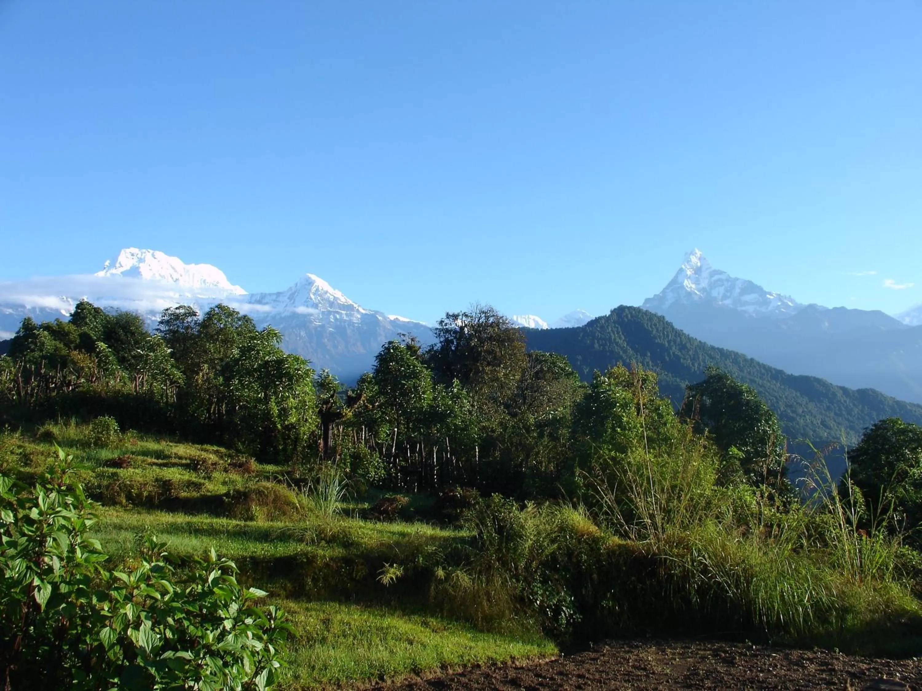 Natural landscape in The North Face Inn