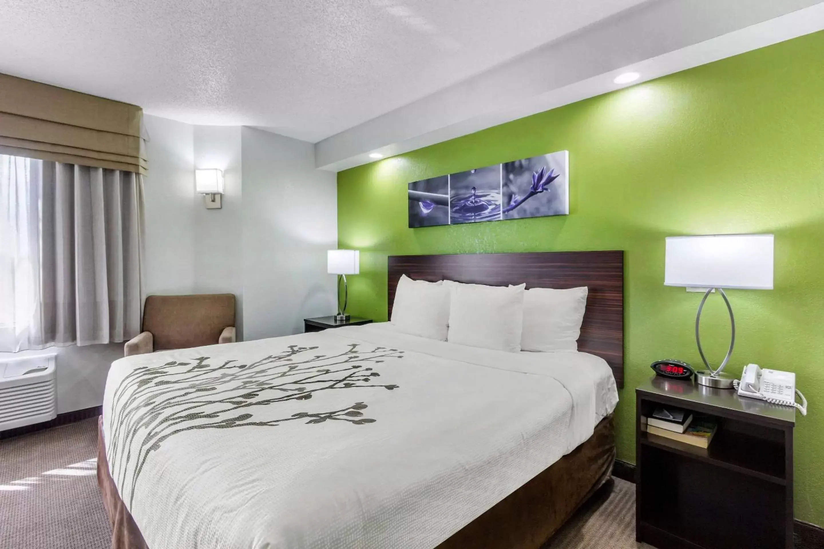 Photo of the whole room, Bed in Sleep Inn near Busch Gardens - USF