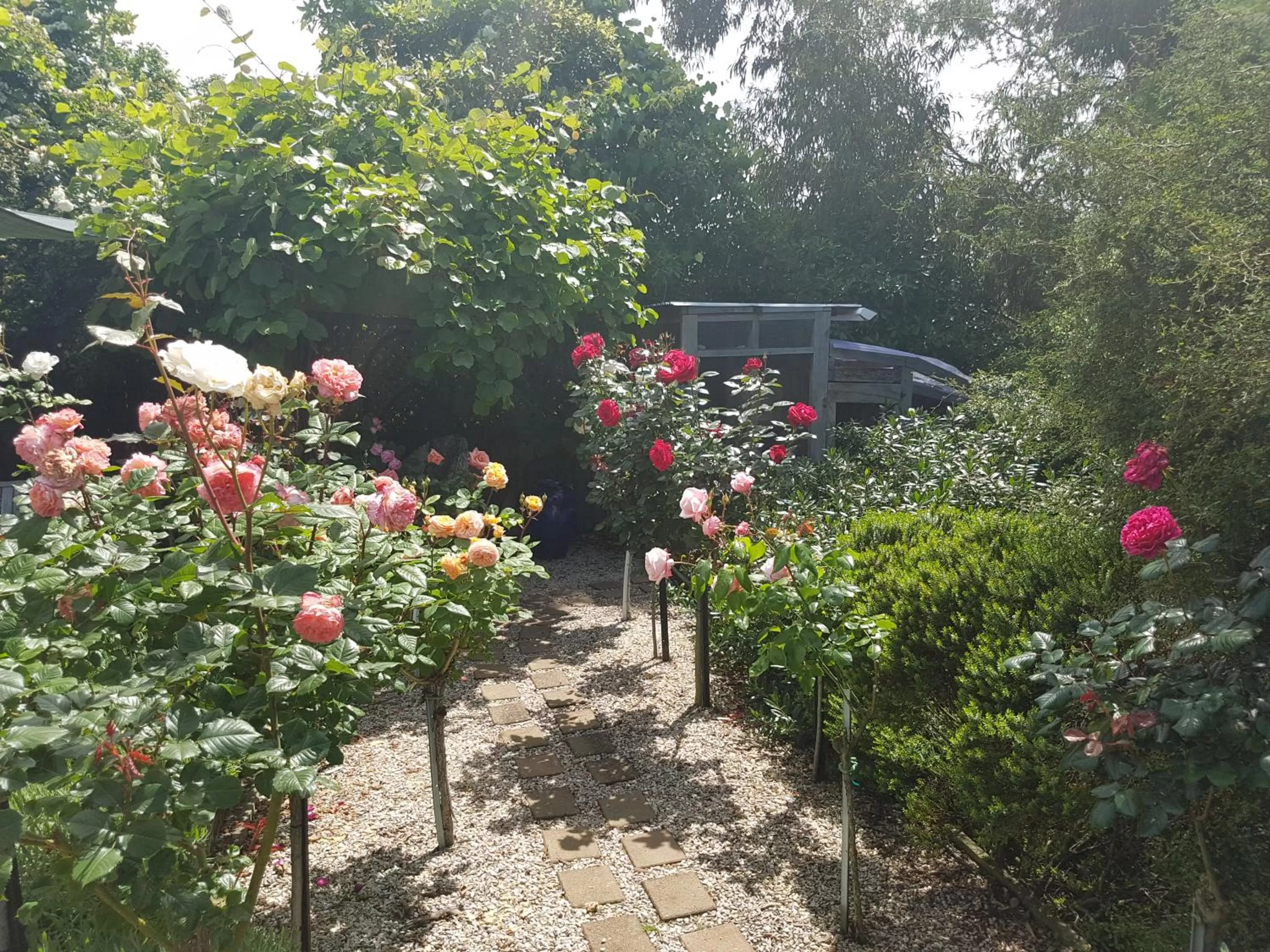 Olde Mill House B&B & Bike2Wine cycle hire