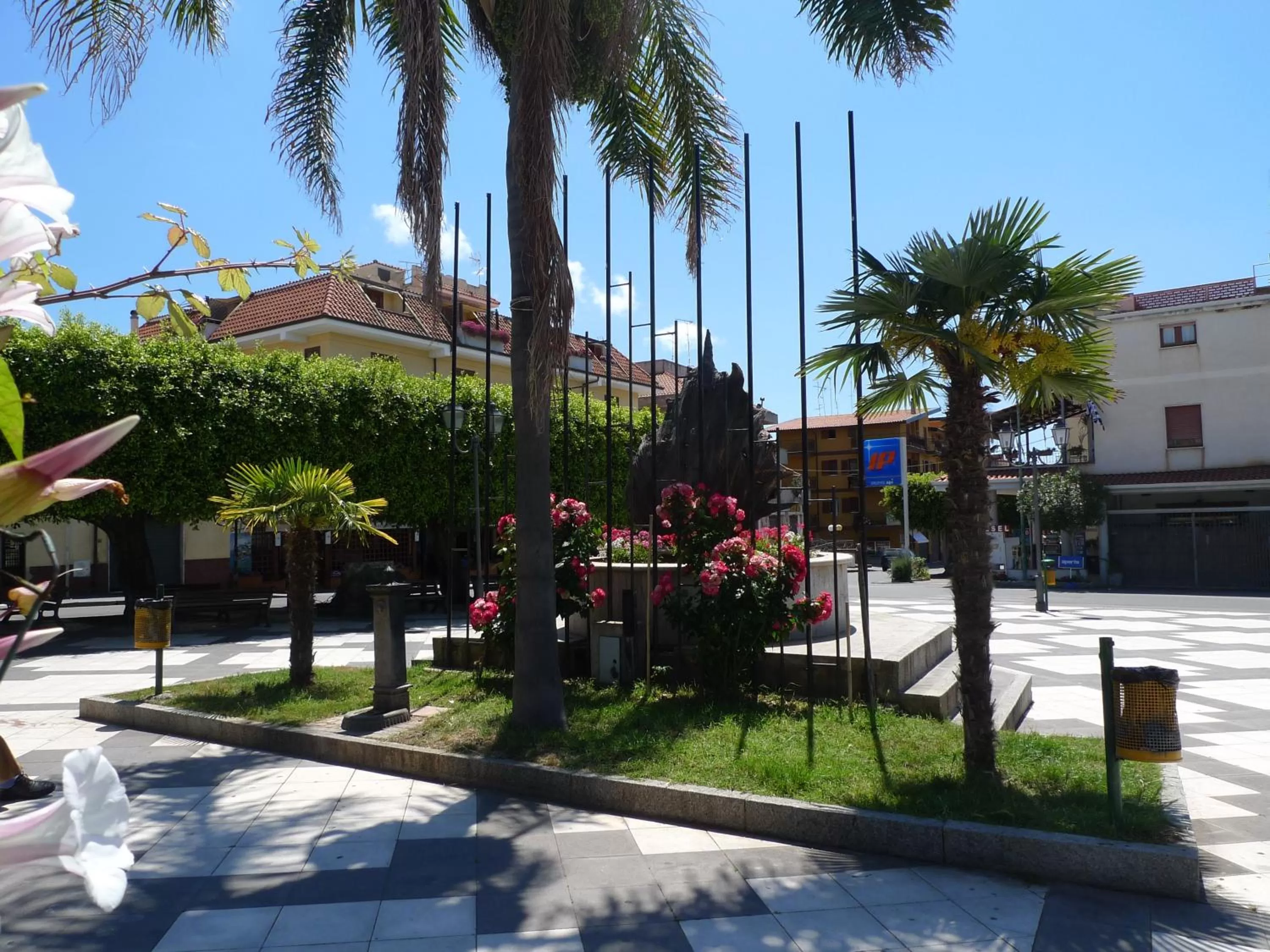 Area and facilities, Property Building in Hotel Alexander