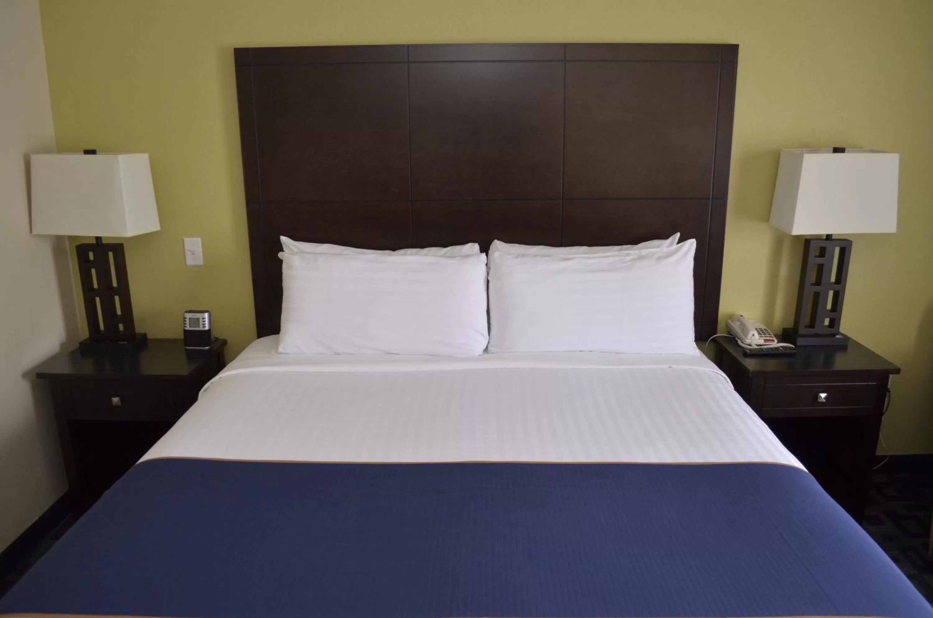 Bed in Super 8 by Wyndham Irving/DFW Apt/North