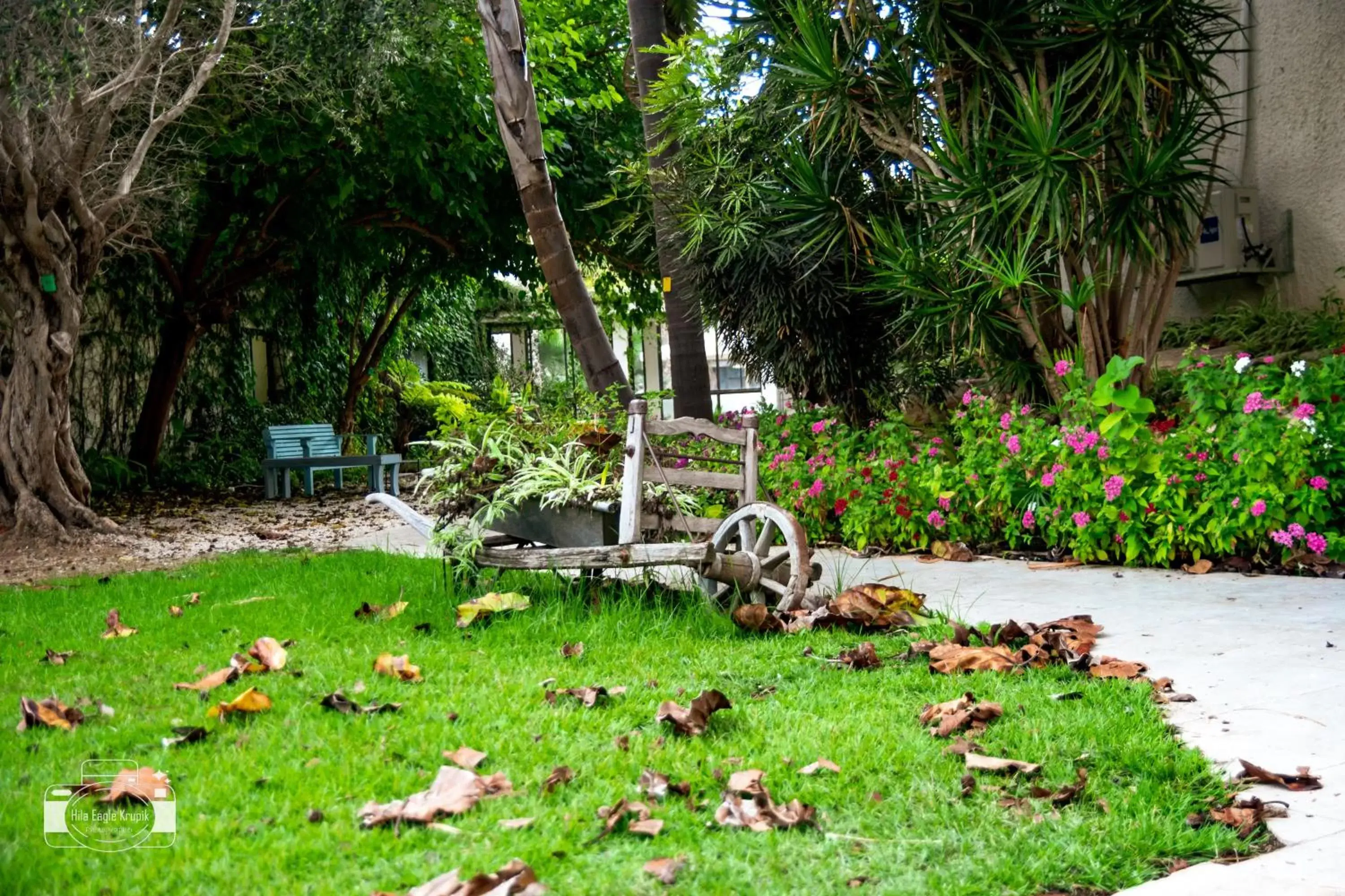 Garden in Eden Inn