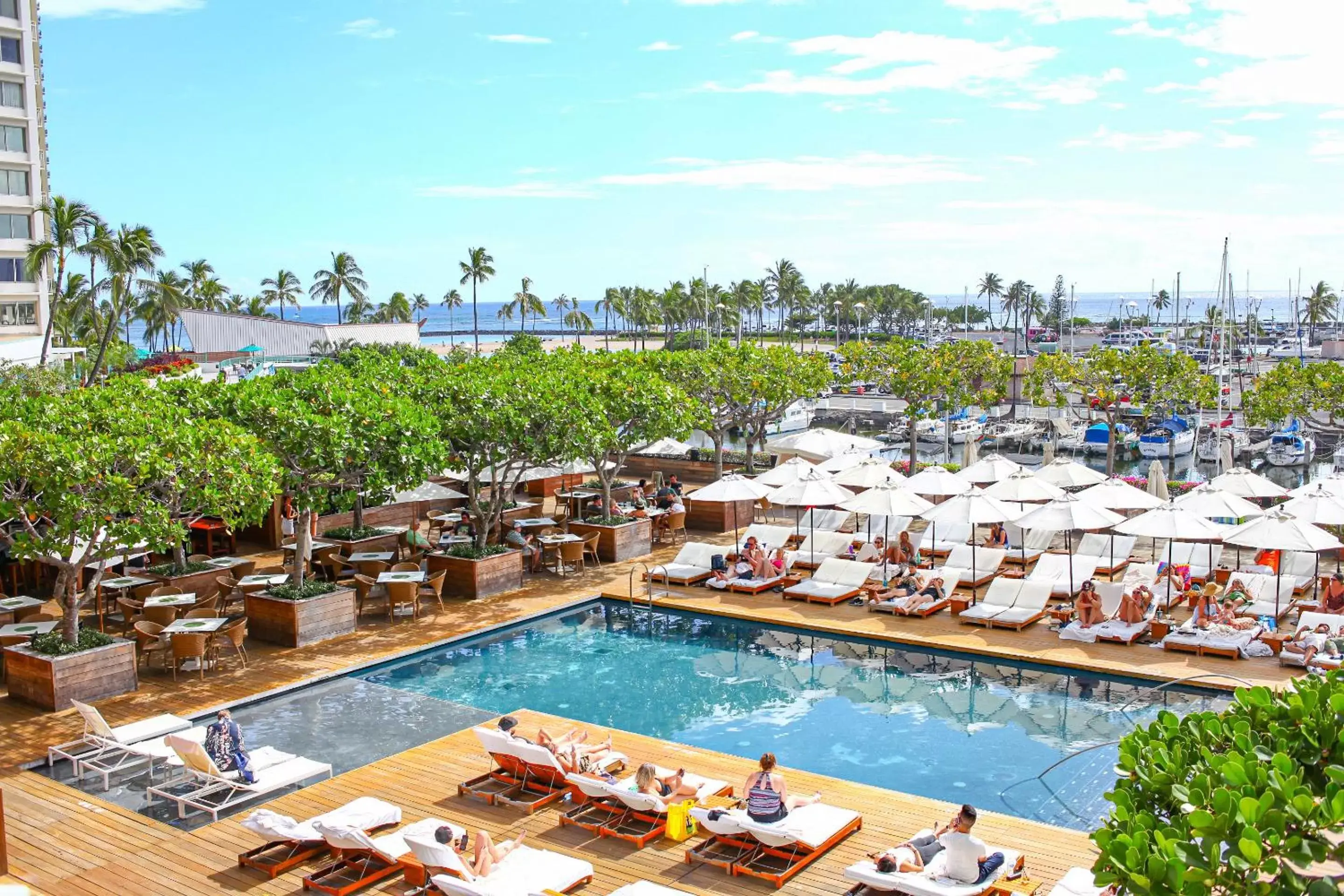 Pool View in Hilton Vacation Club The Modern Honolulu