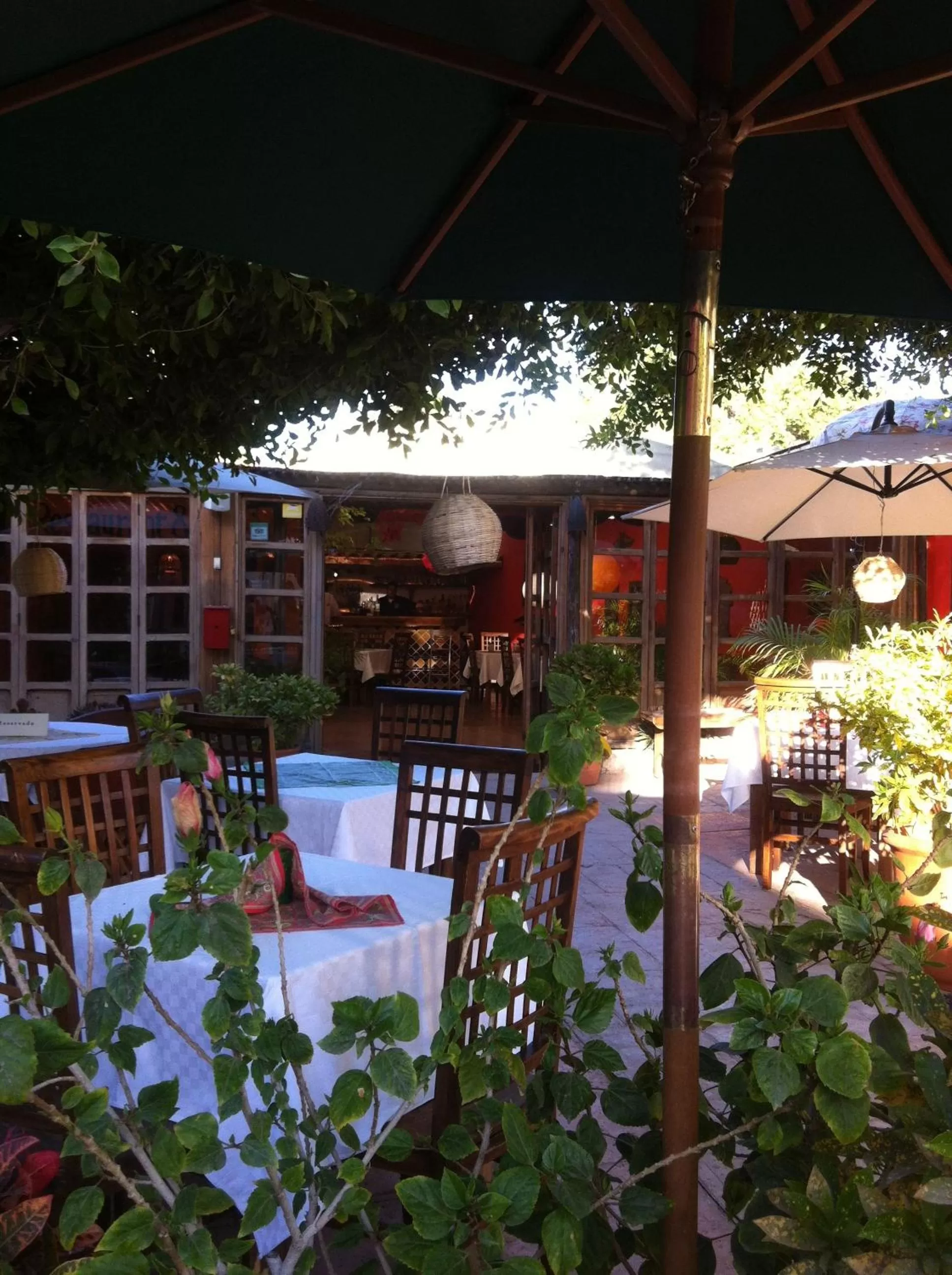 Restaurant/places to eat, Swimming Pool in Hotel 1697 Loreto