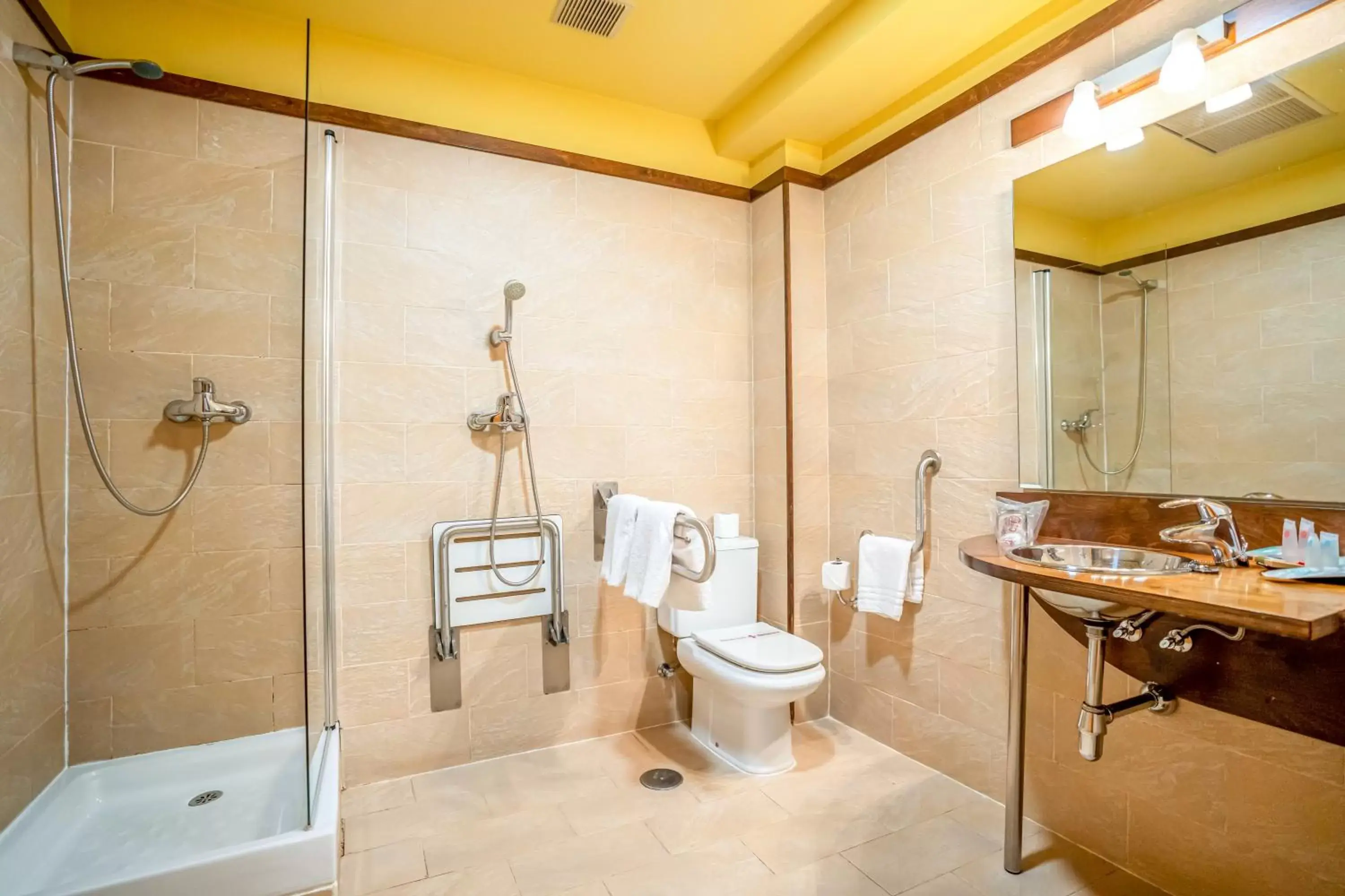 Facility for disabled guests, Bathroom in Victoria 4 Puerta del Sol