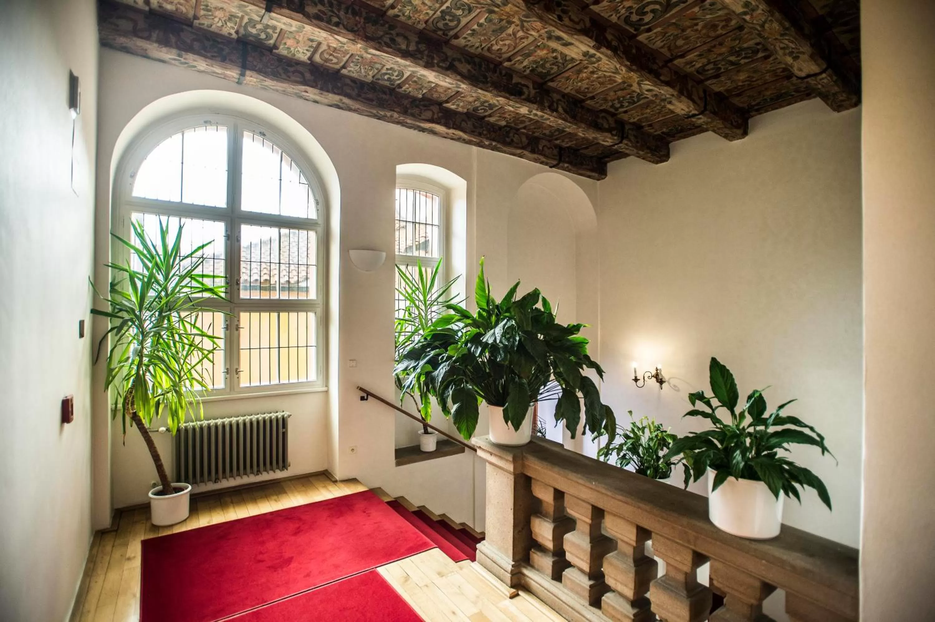 Property building in Opitzův dům