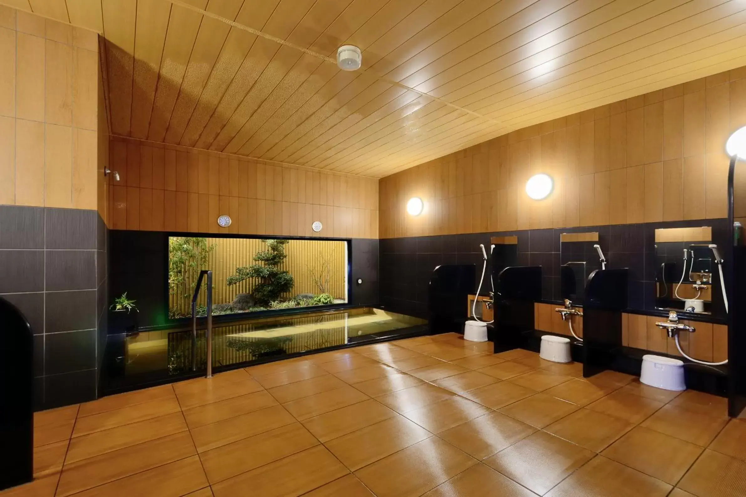 Public Bath in Hotel Route Inn Hashimoto