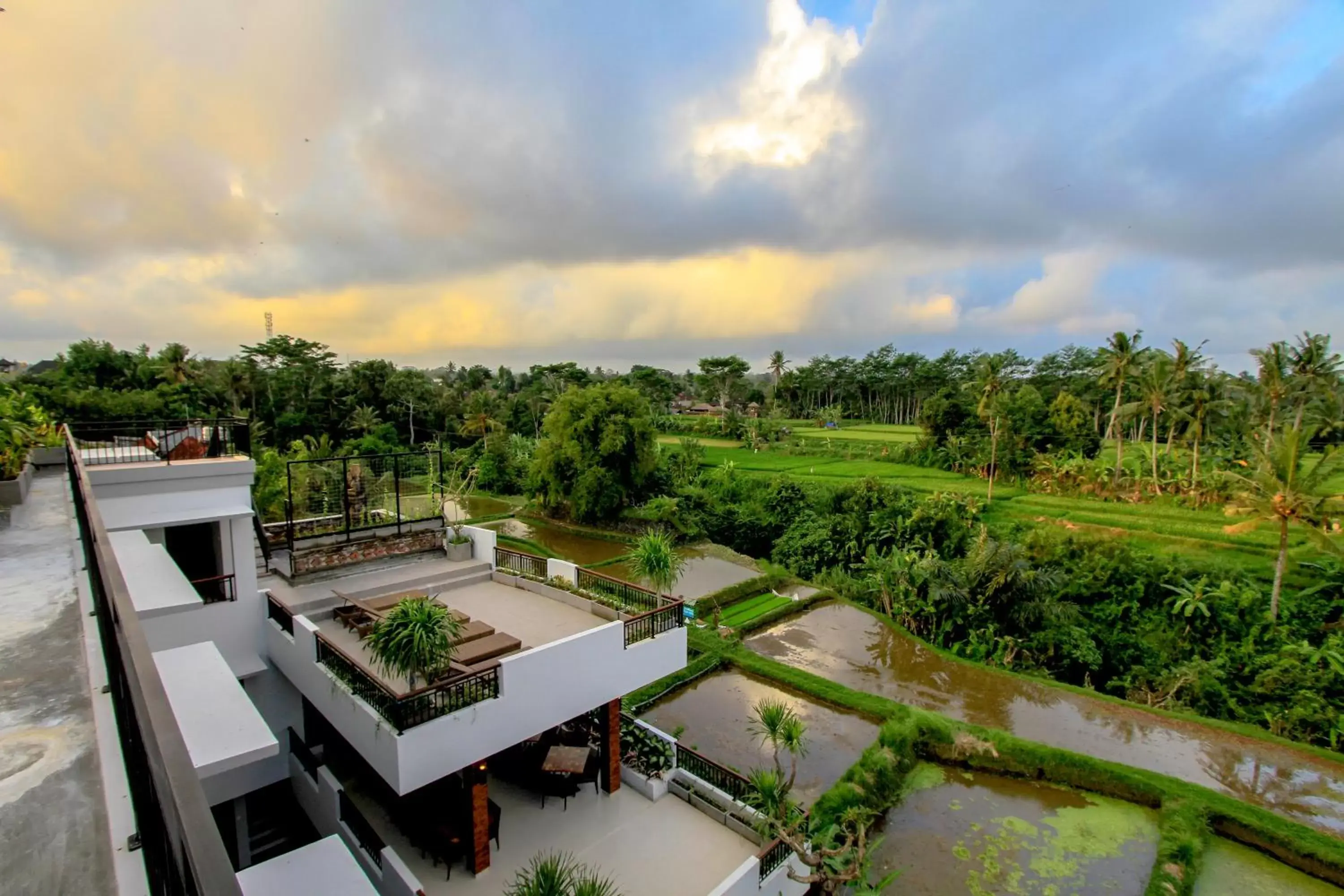 Day in Puri Padma Hotel