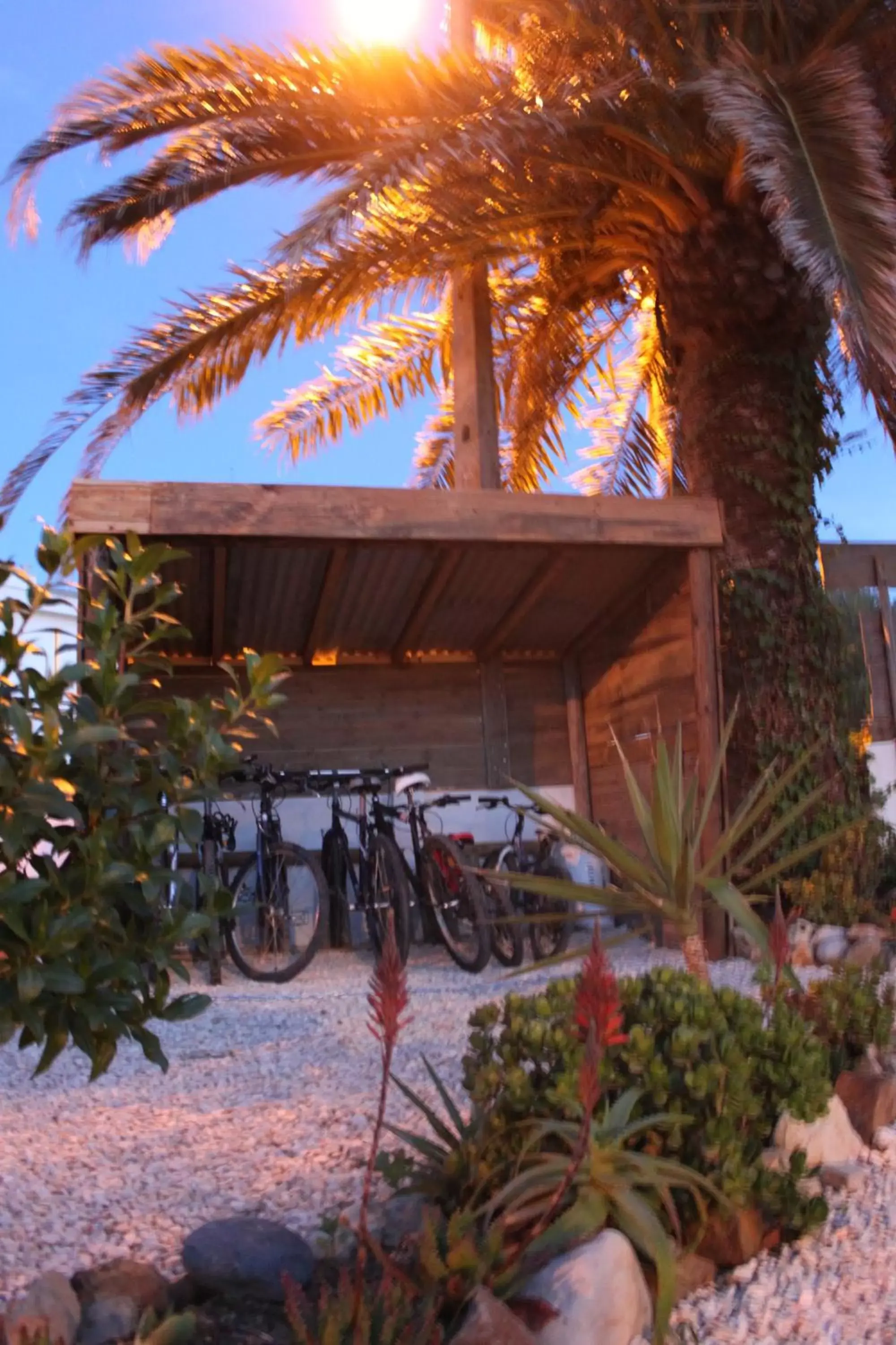 Cycling, Property Building in PuraVida Divehouse