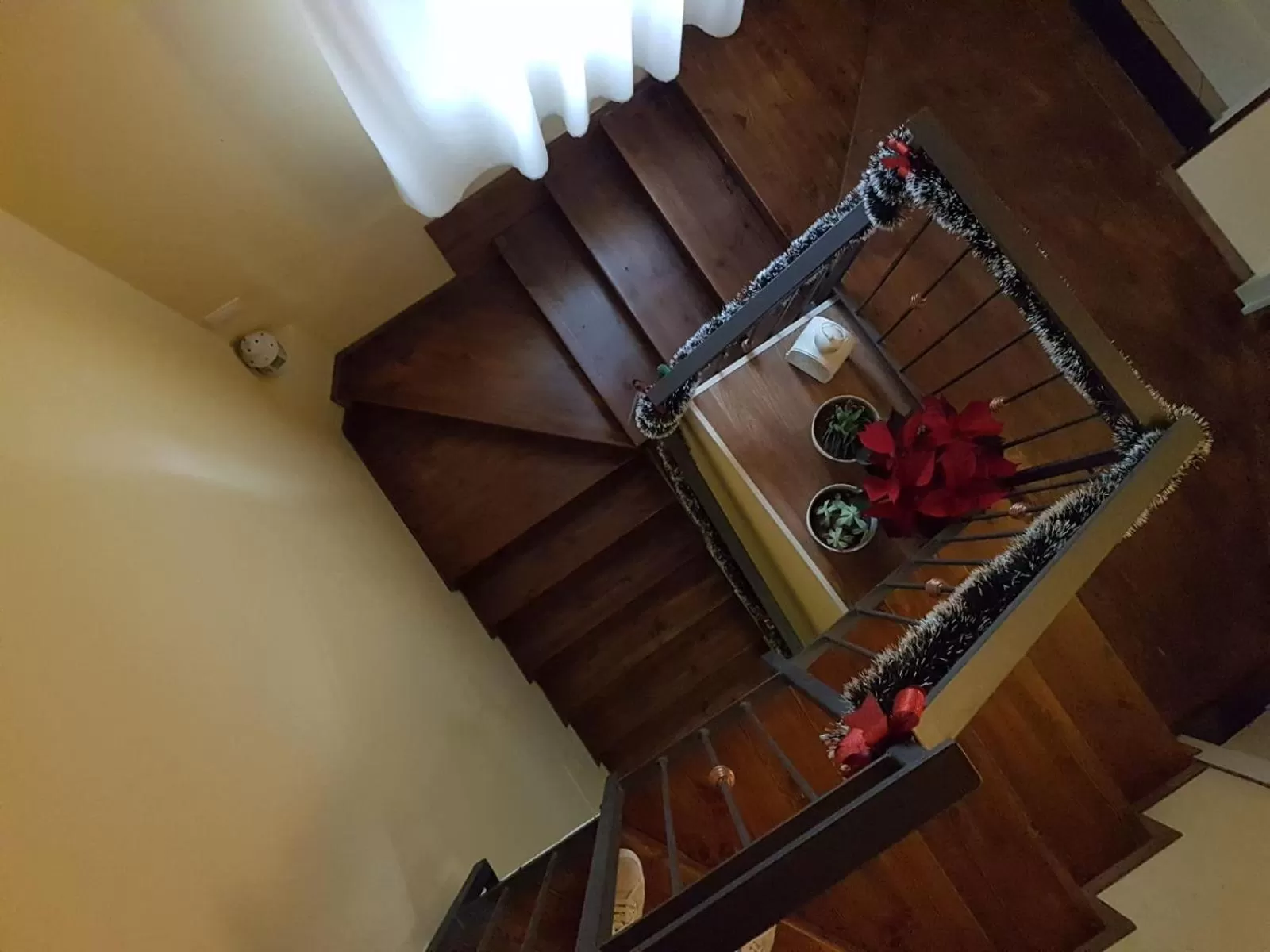 Winter in Central Suites Catania