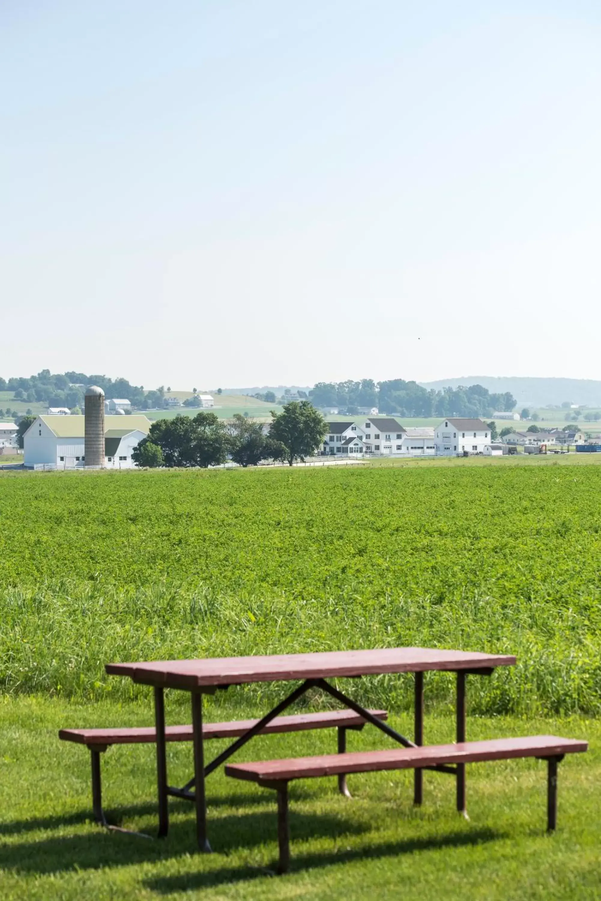 View (from property/room) in Travelers Rest Motel View (from property/room) in Travelers Rest Motel